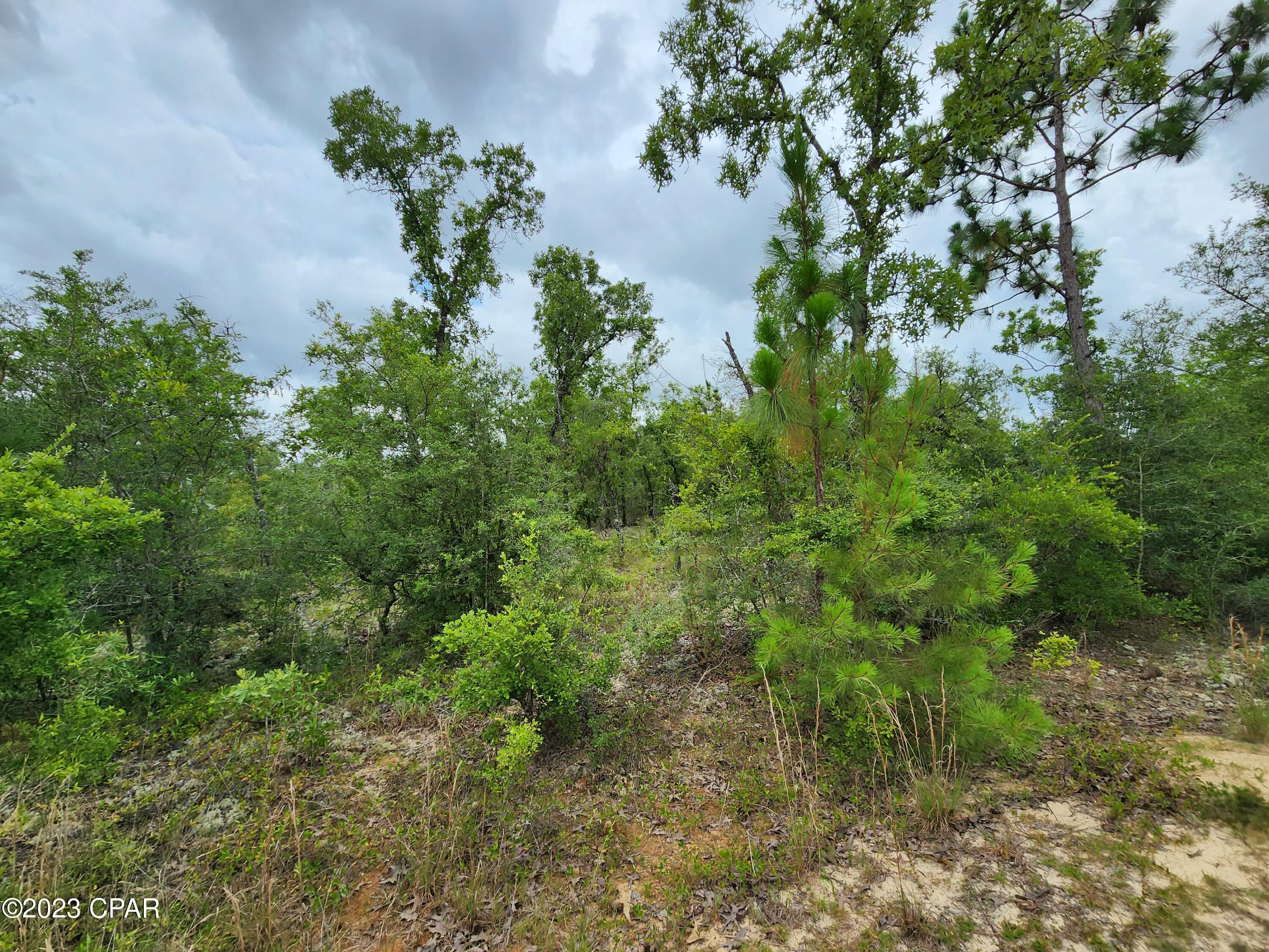 Military Court #LOT 6, Alford, Florida image 10