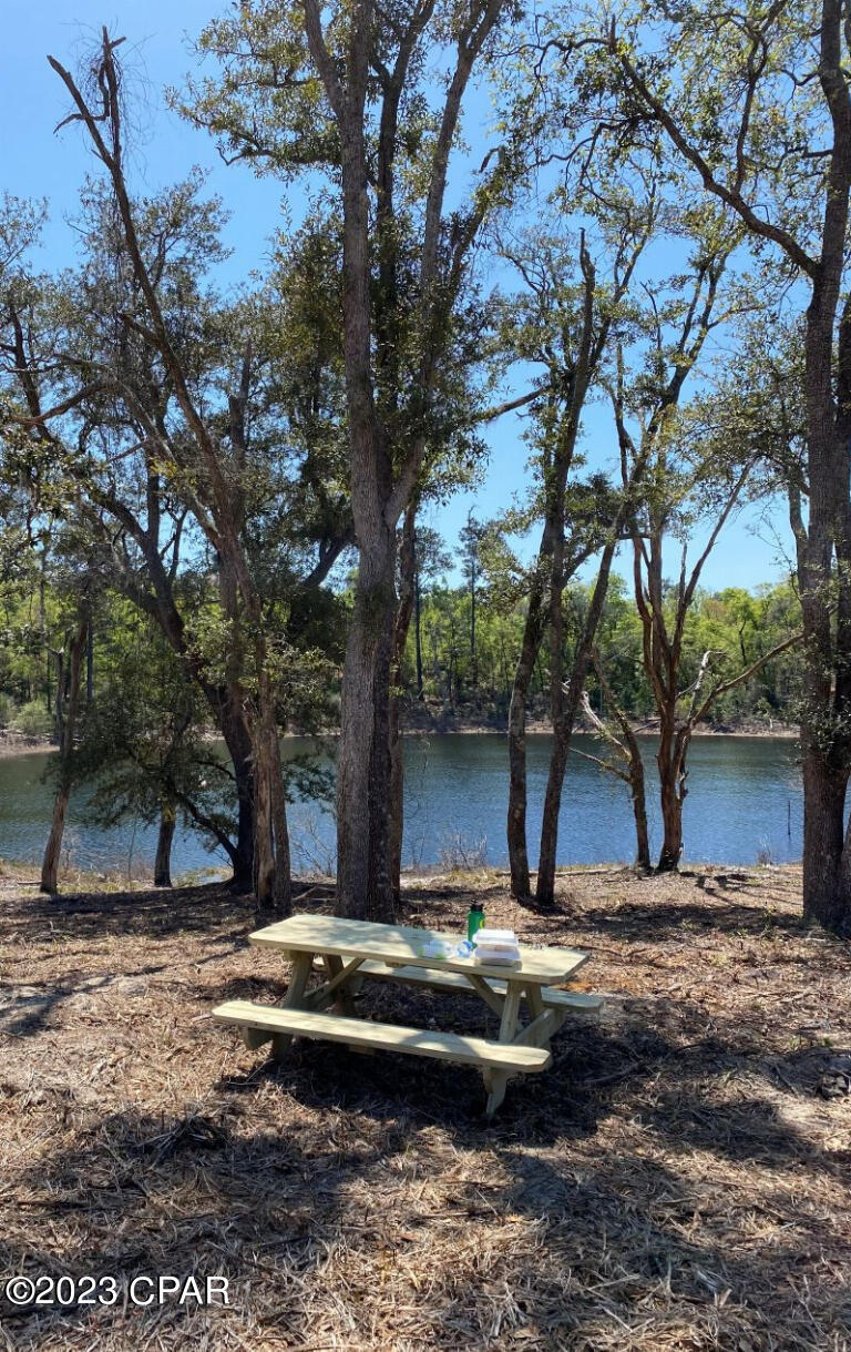 Holmes Valley Road, Vernon, Florida image 2