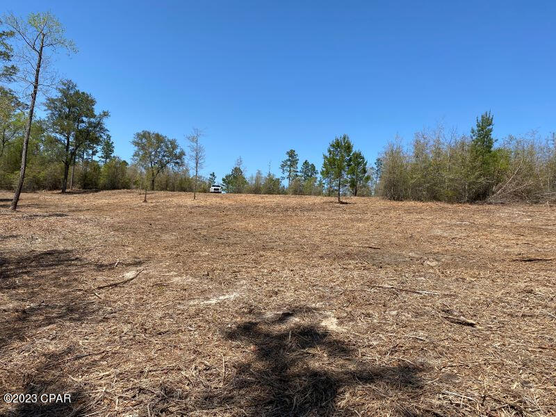 Holmes Valley Road, Vernon, Florida image 3