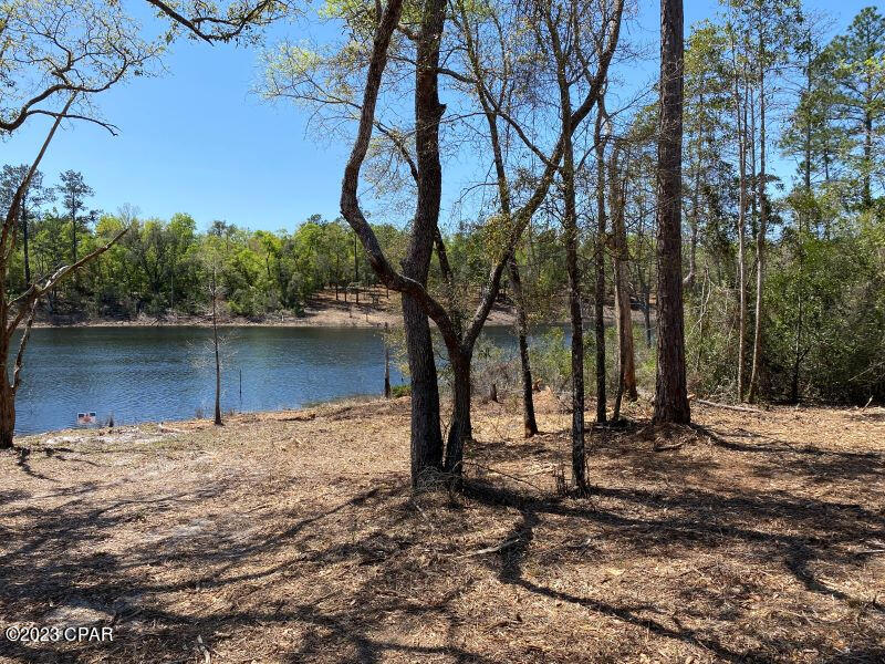 Holmes Valley Road, Vernon, Florida image 5