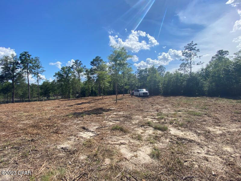 Holmes Valley Road, Vernon, Florida image 6
