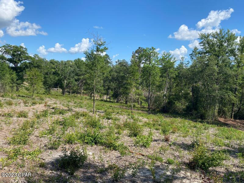 Holmes Valley Road, Vernon, Florida image 9