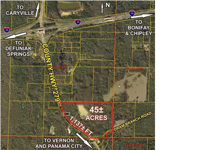 Listing Details for 00 Pate Pond Road, Caryville, FL 32427