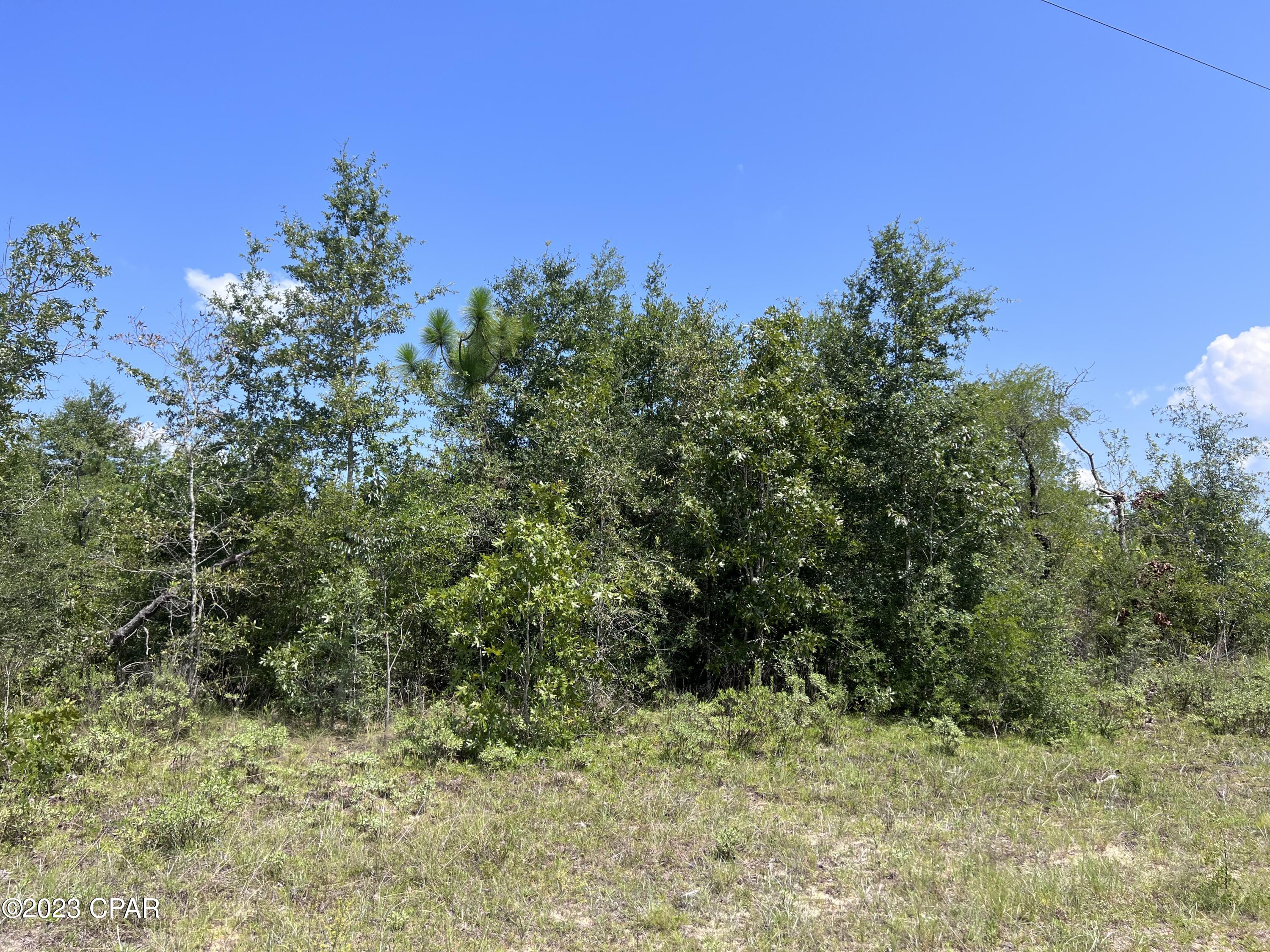 Photo of Lot 11 Devonshire Chipley FL 32428