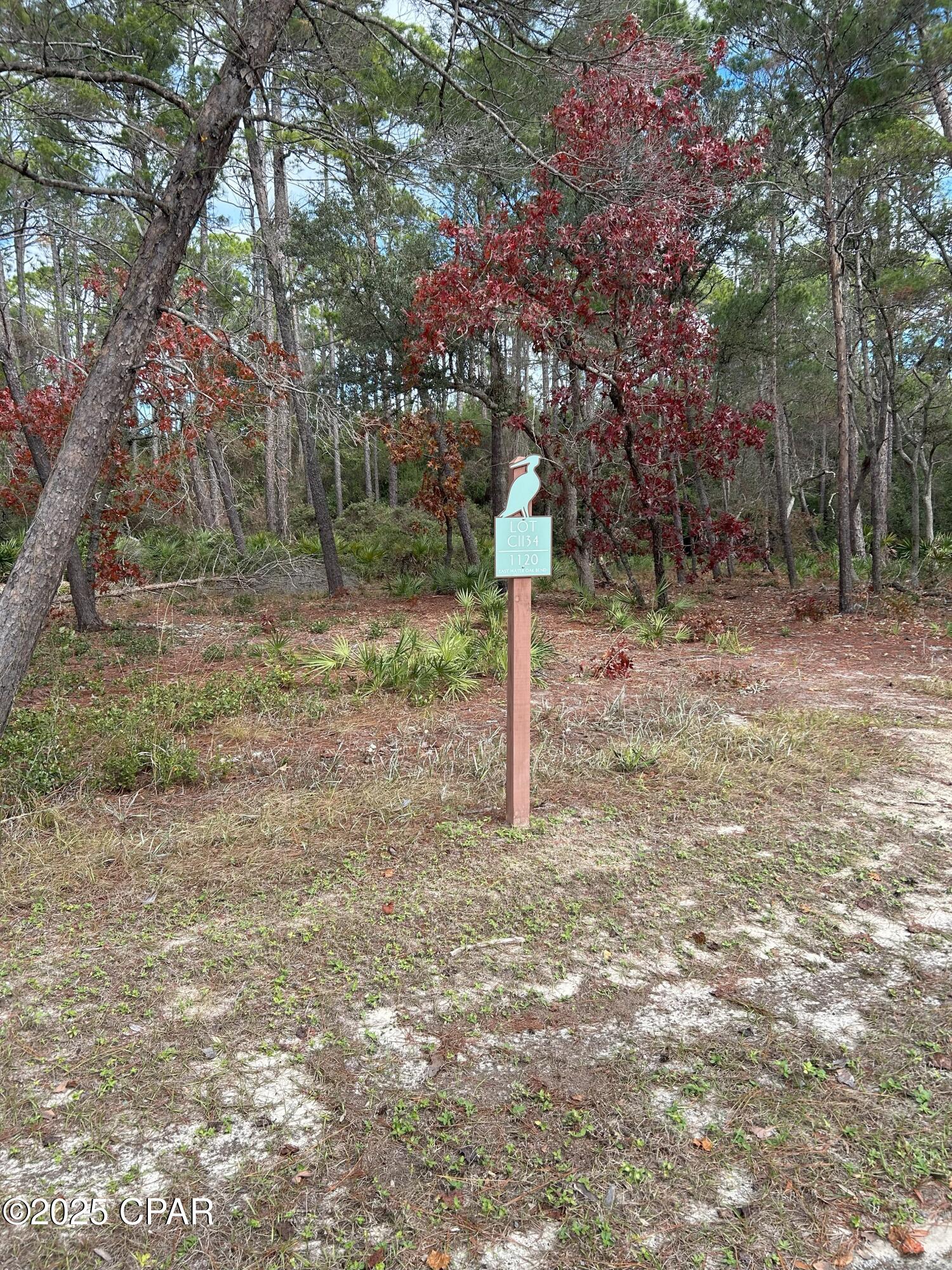 Image 2 For 1120 Water Oak Bend