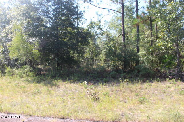 Photo of 0 Iroquois Chipley FL 32428