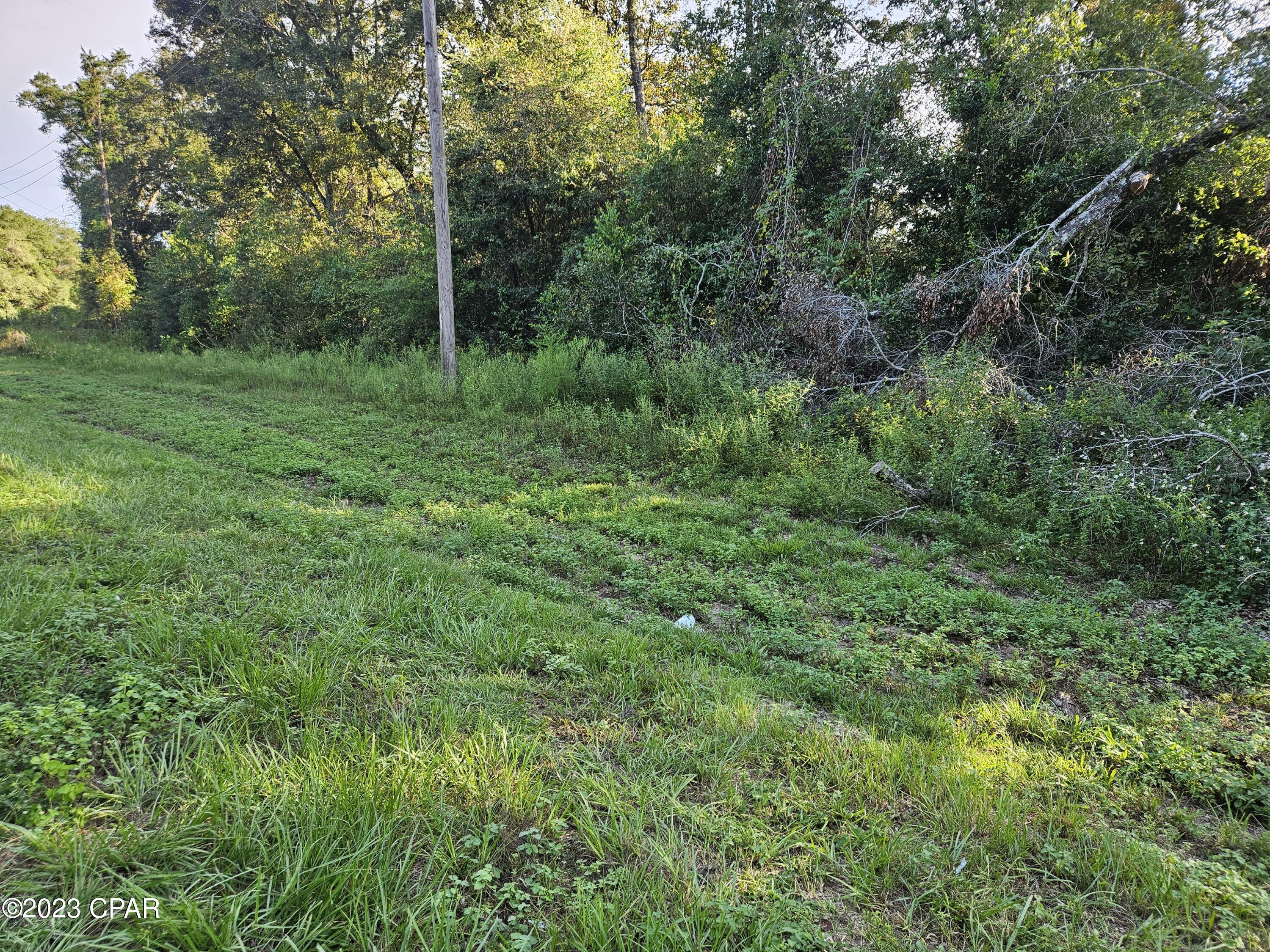 Details for 0000 Fanning Branch Road, Vernon, FL 32462