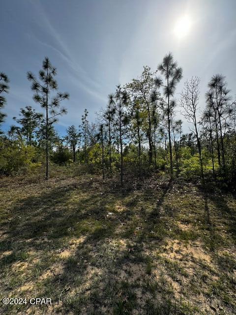 Photo of Lot 4 BLK 0307 Tripoli Chipley FL 32428