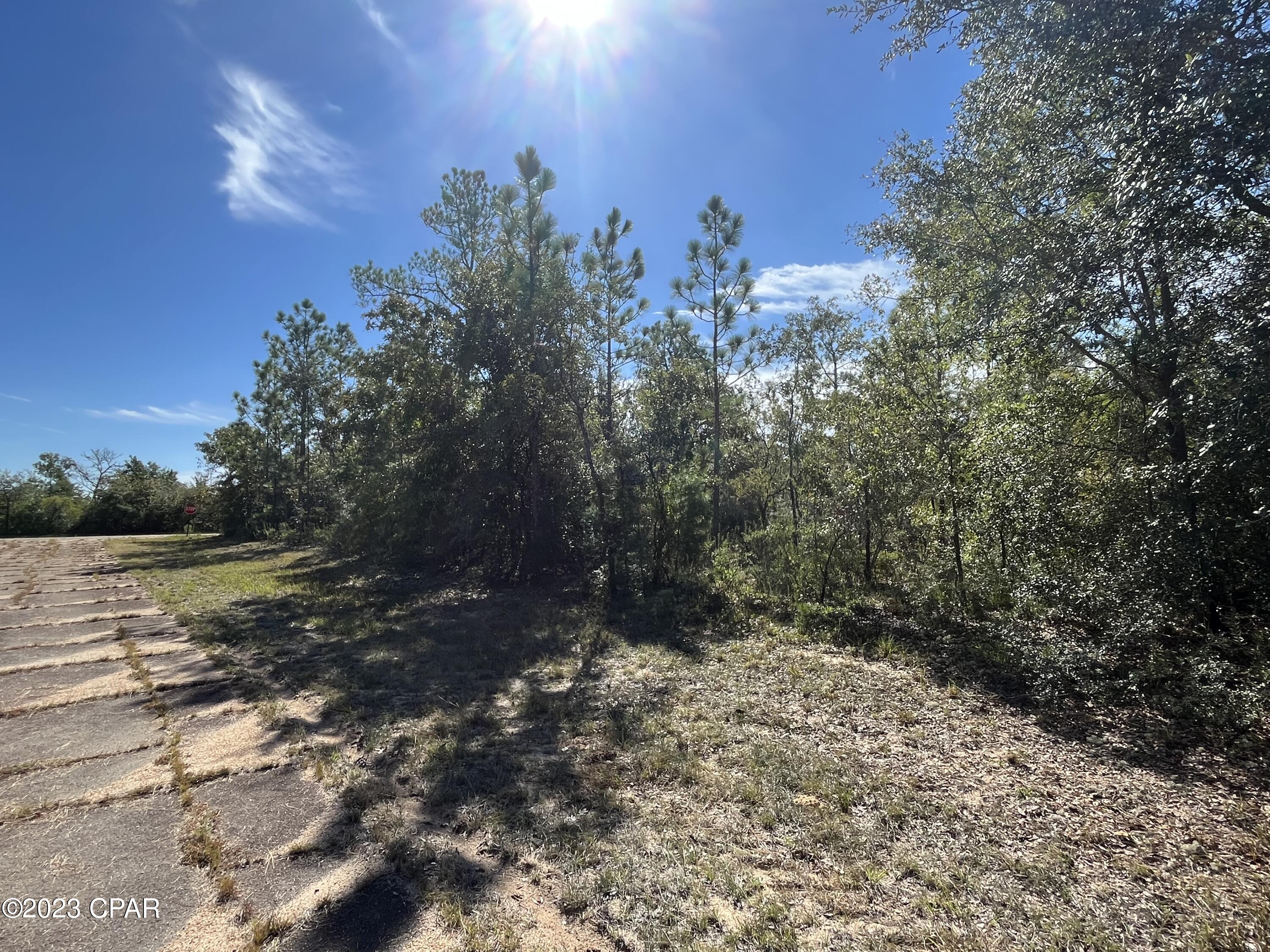 Photo of Lot 8 Regent Chipley FL 32428