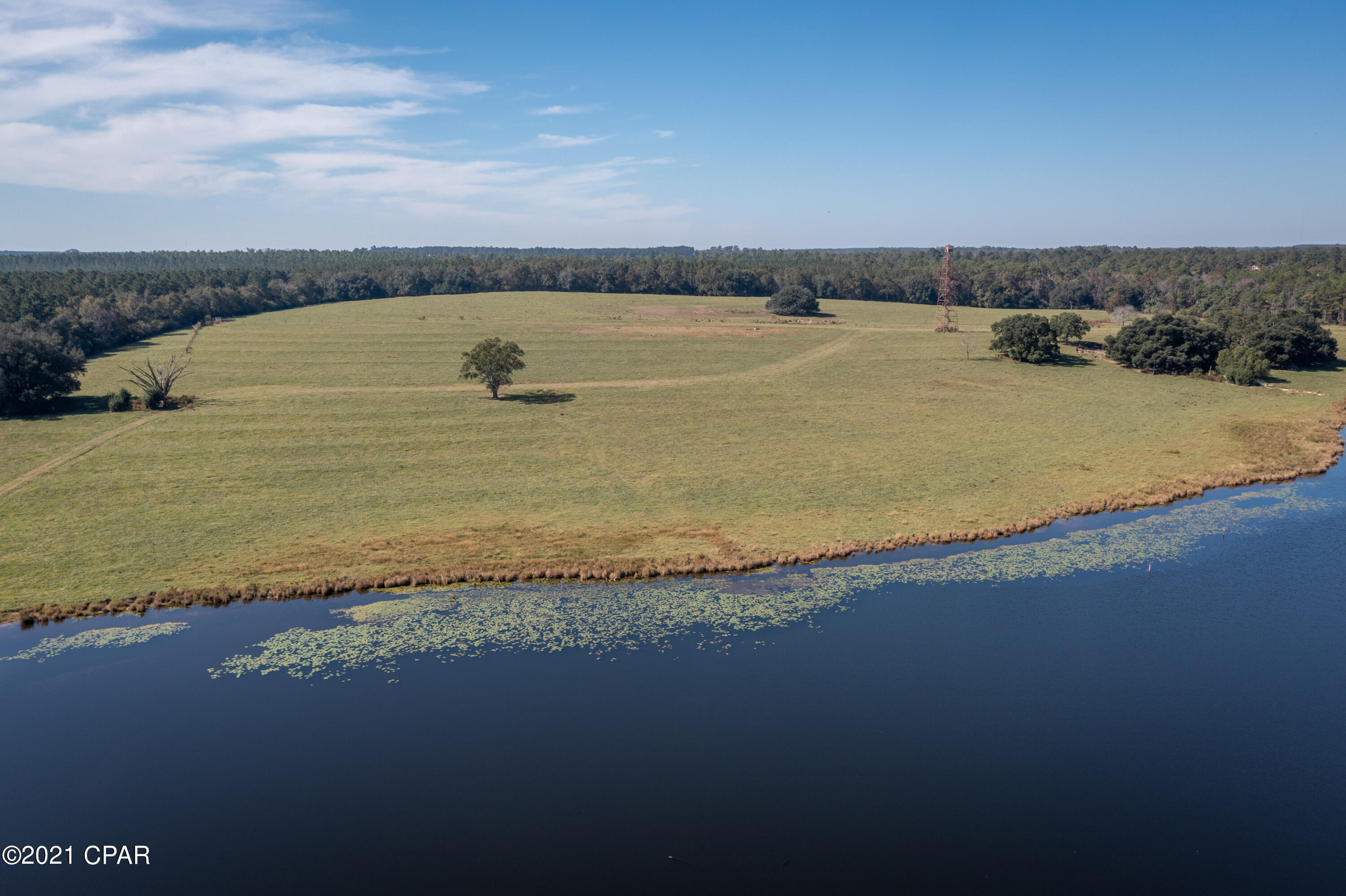 Image 8 For 000 Kings Lane