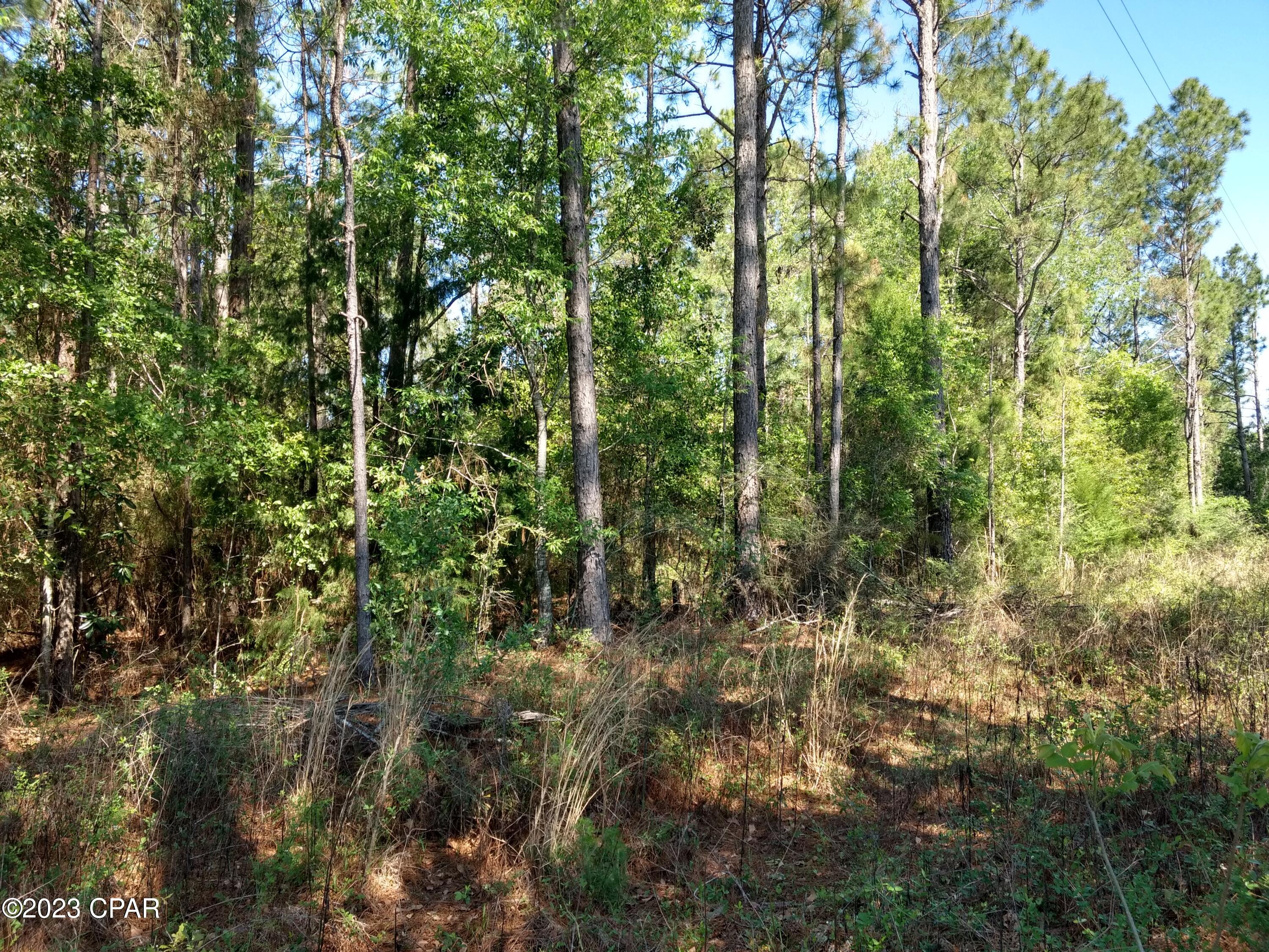 Details for Tbd Little John Lane, Bonifay, FL 32425