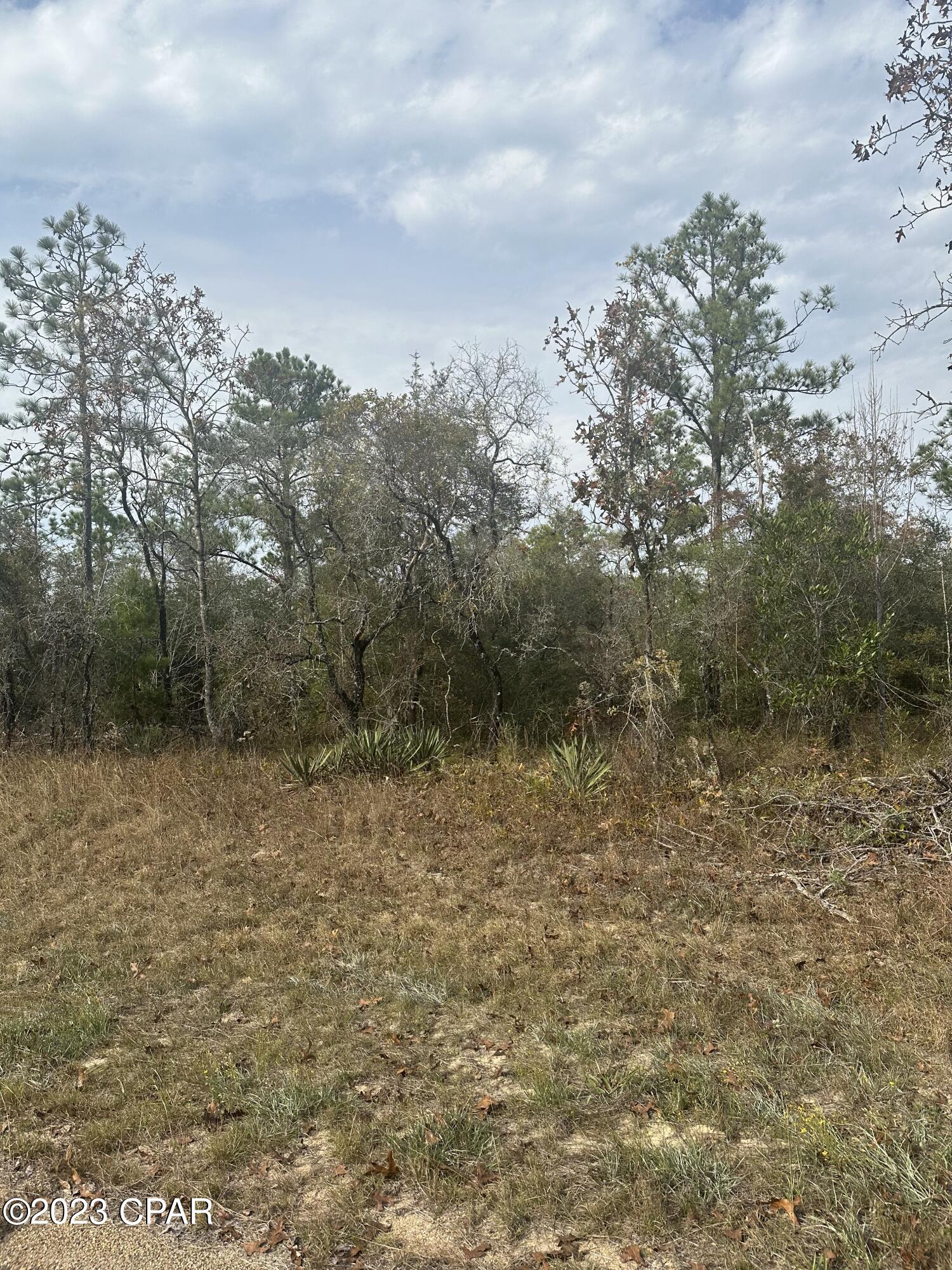 Listing Details for 0 Windmill St., Chipley, FL 32428