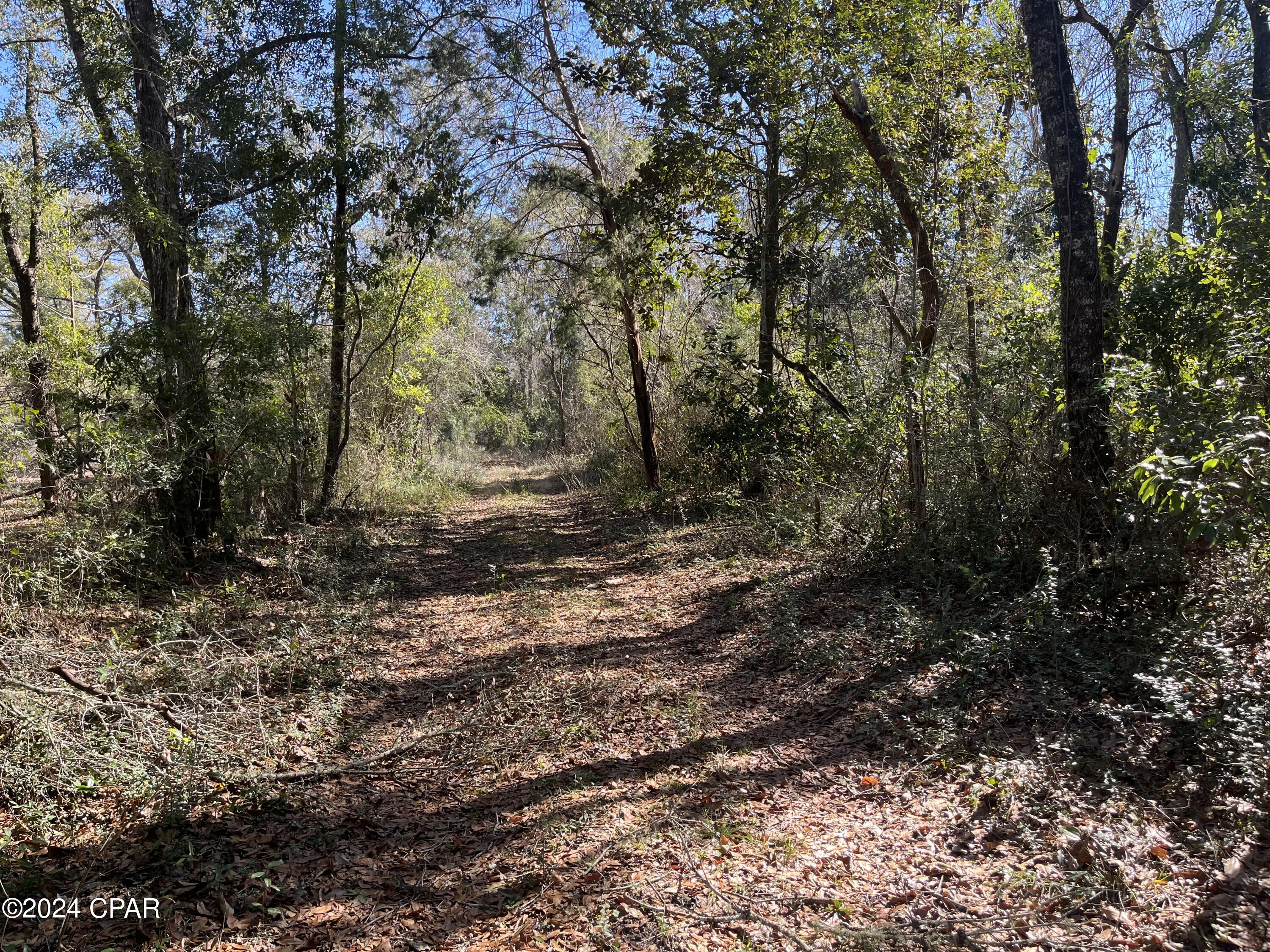 Image 12 For 0 Crawfordville Highway