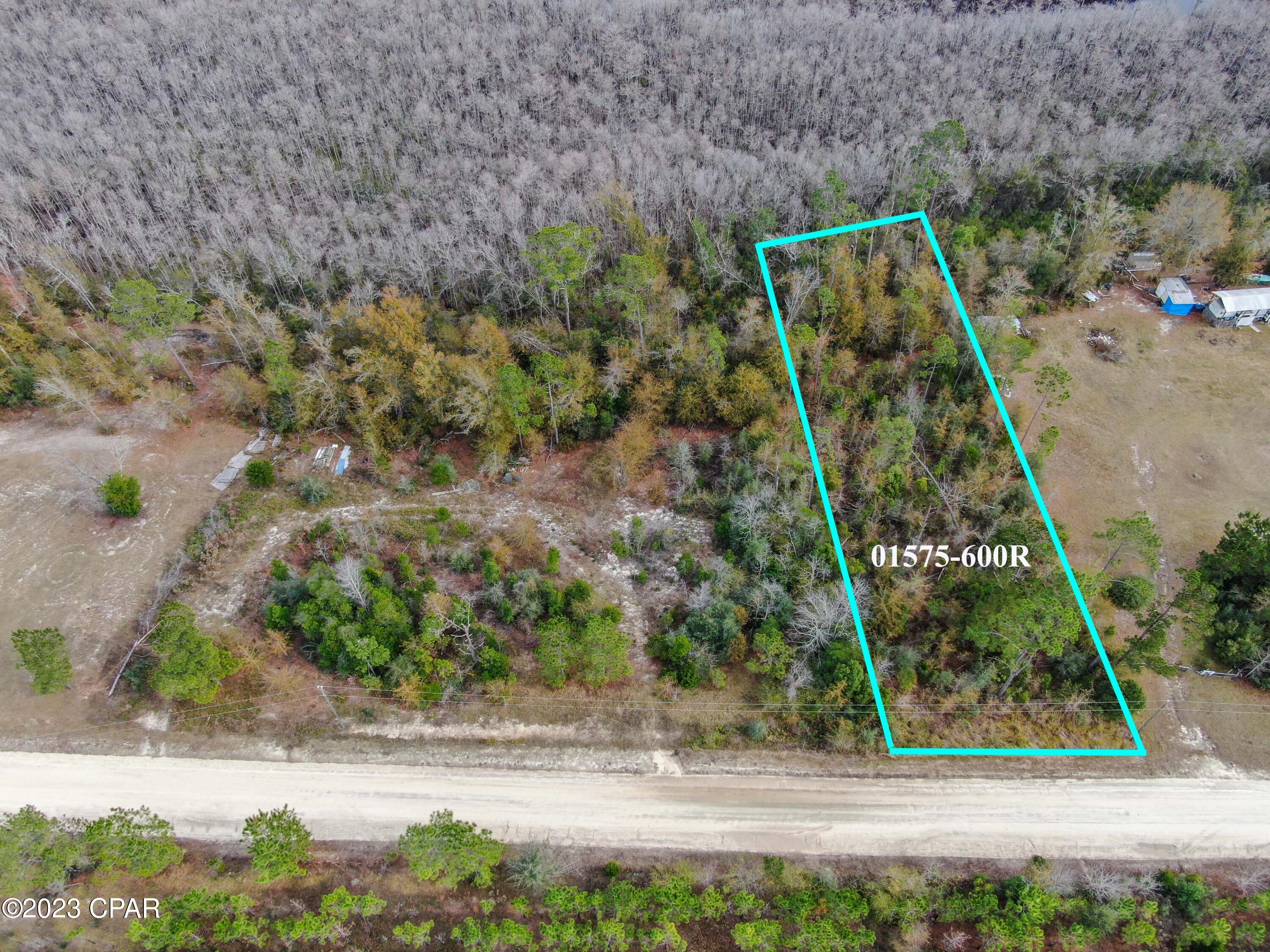 Details for 706 Dead Lakes Drive, Wewahitchka, FL 32465