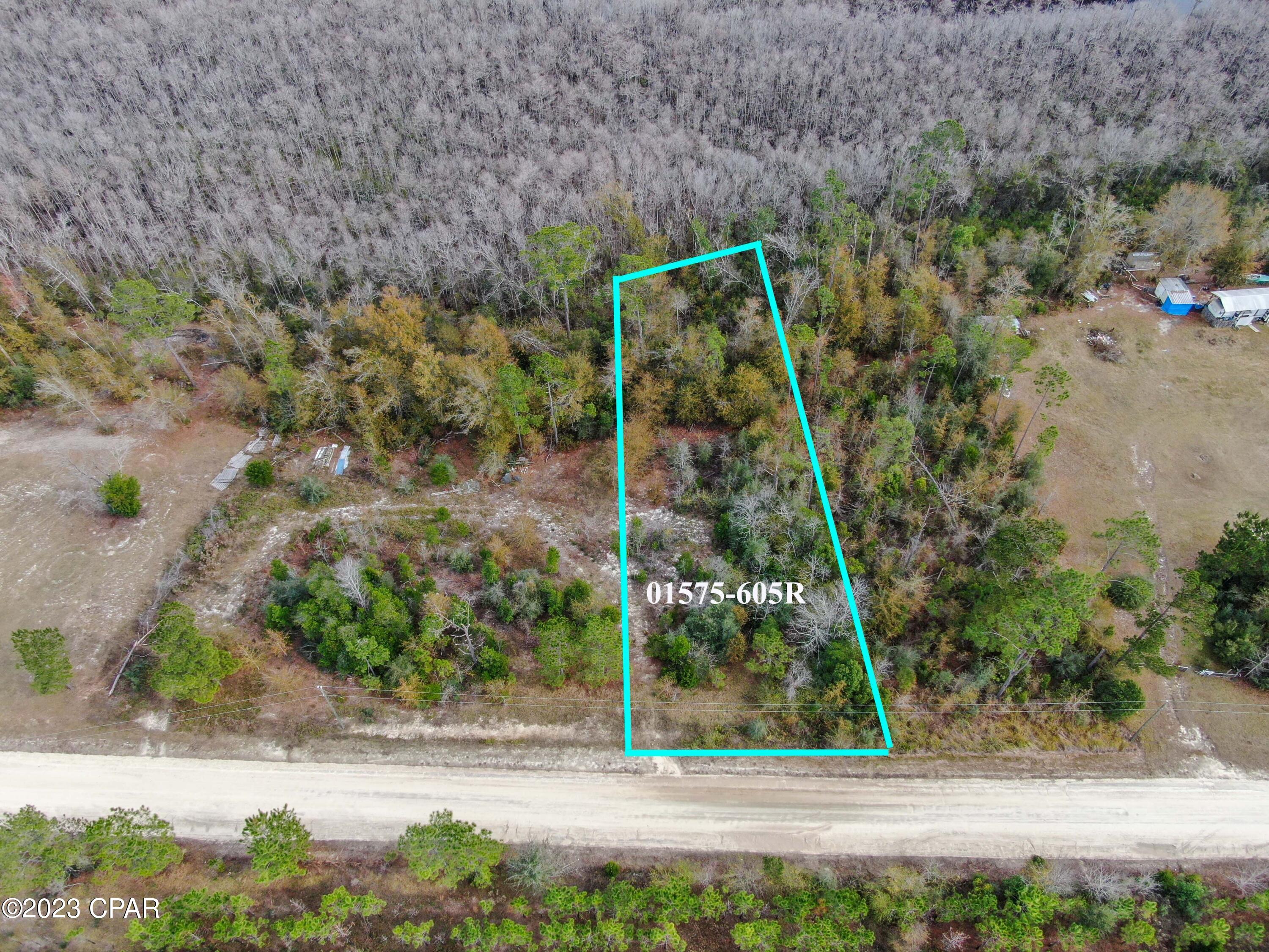 Details for 000 Dead Lakes Drive, Wewahitchka, FL 32465