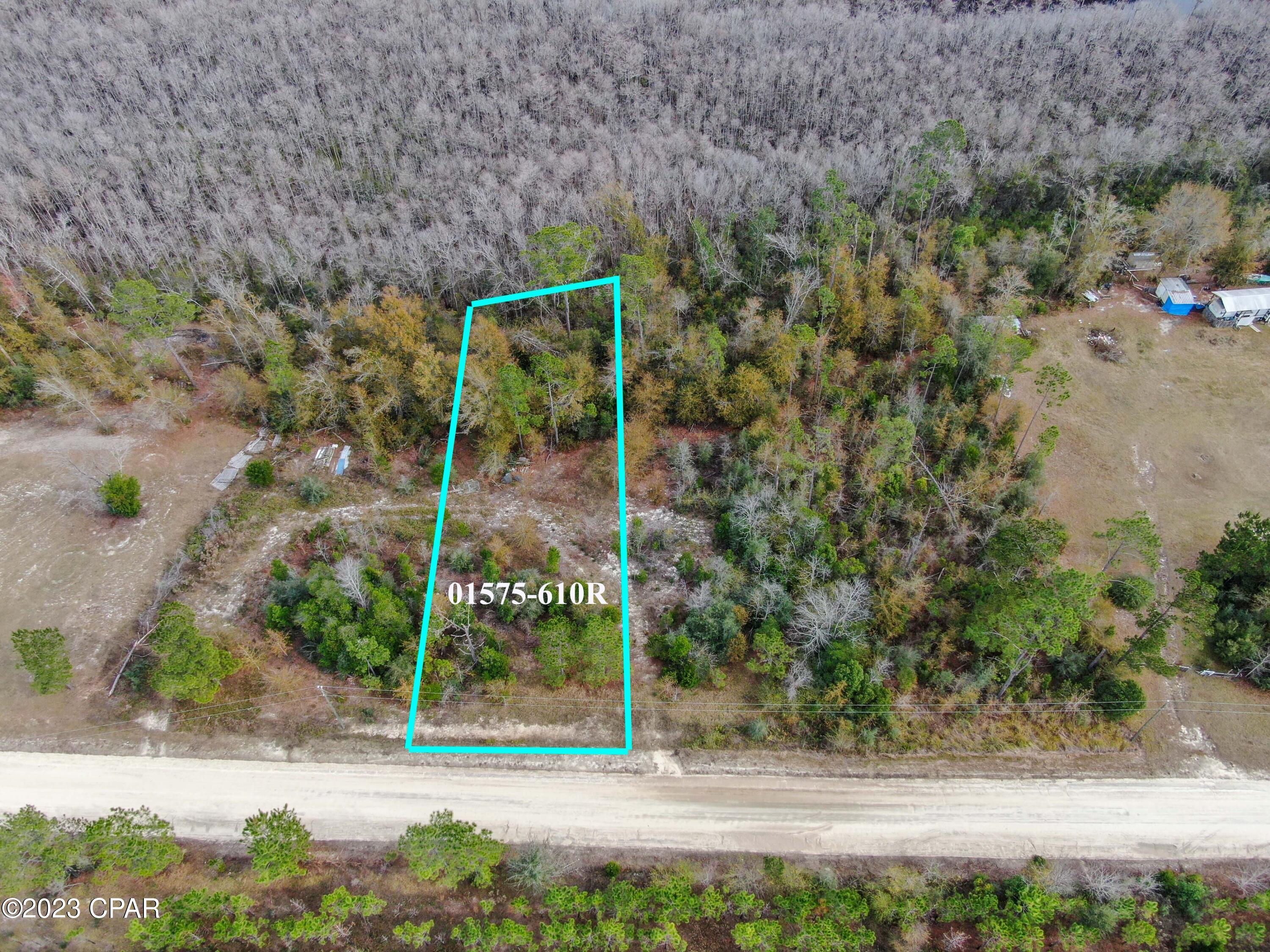 Details for 0000 Dead Lakes Drive, Wewahitchka, FL 32465