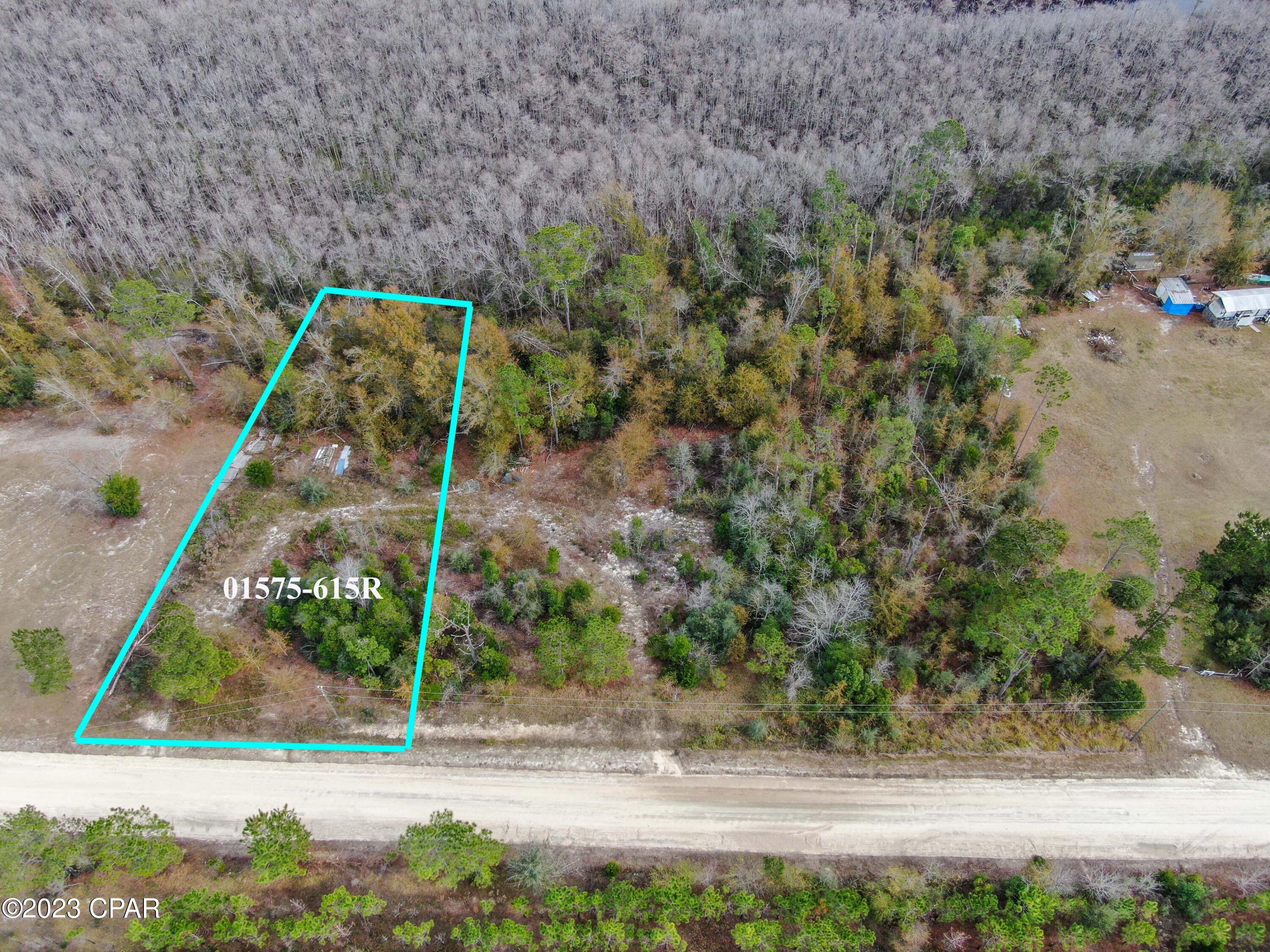 Details for 00000 Dead Lakes Drive, Wewahitchka, FL 32465