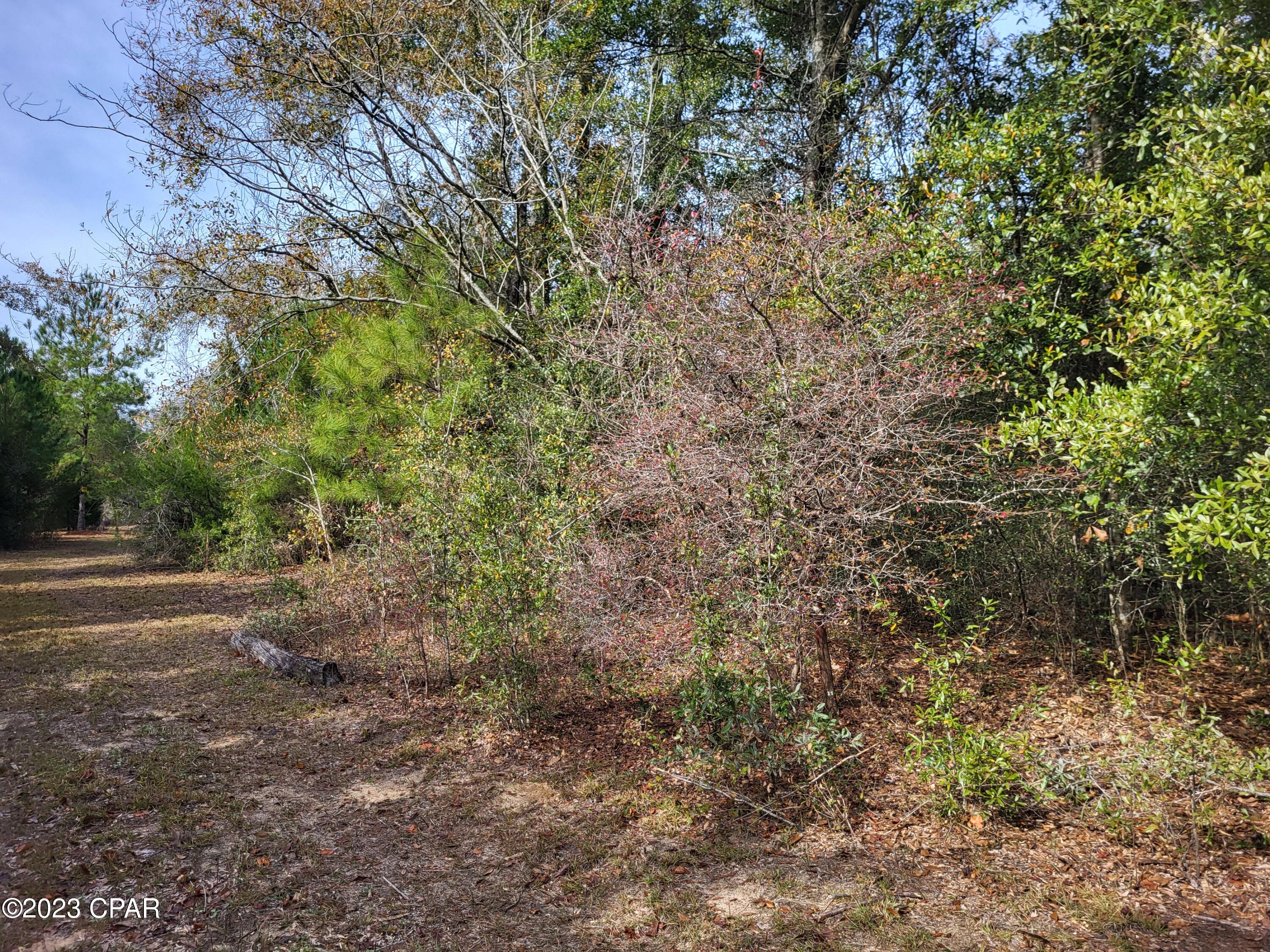 Image 20 For 00 Tommy Tucker Road Lot 1