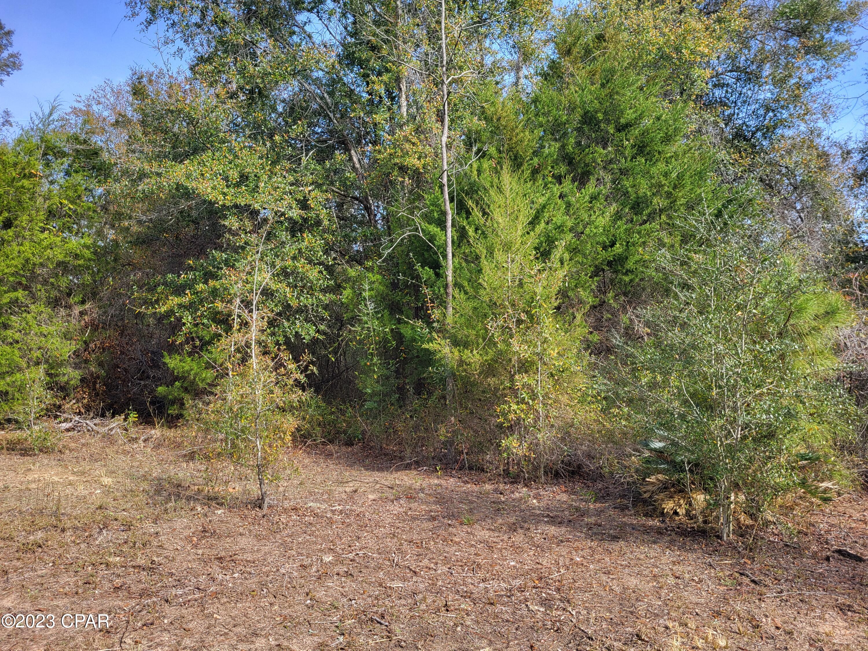 Image 8 For 22-2n-1000 White Pond Road Lot 10