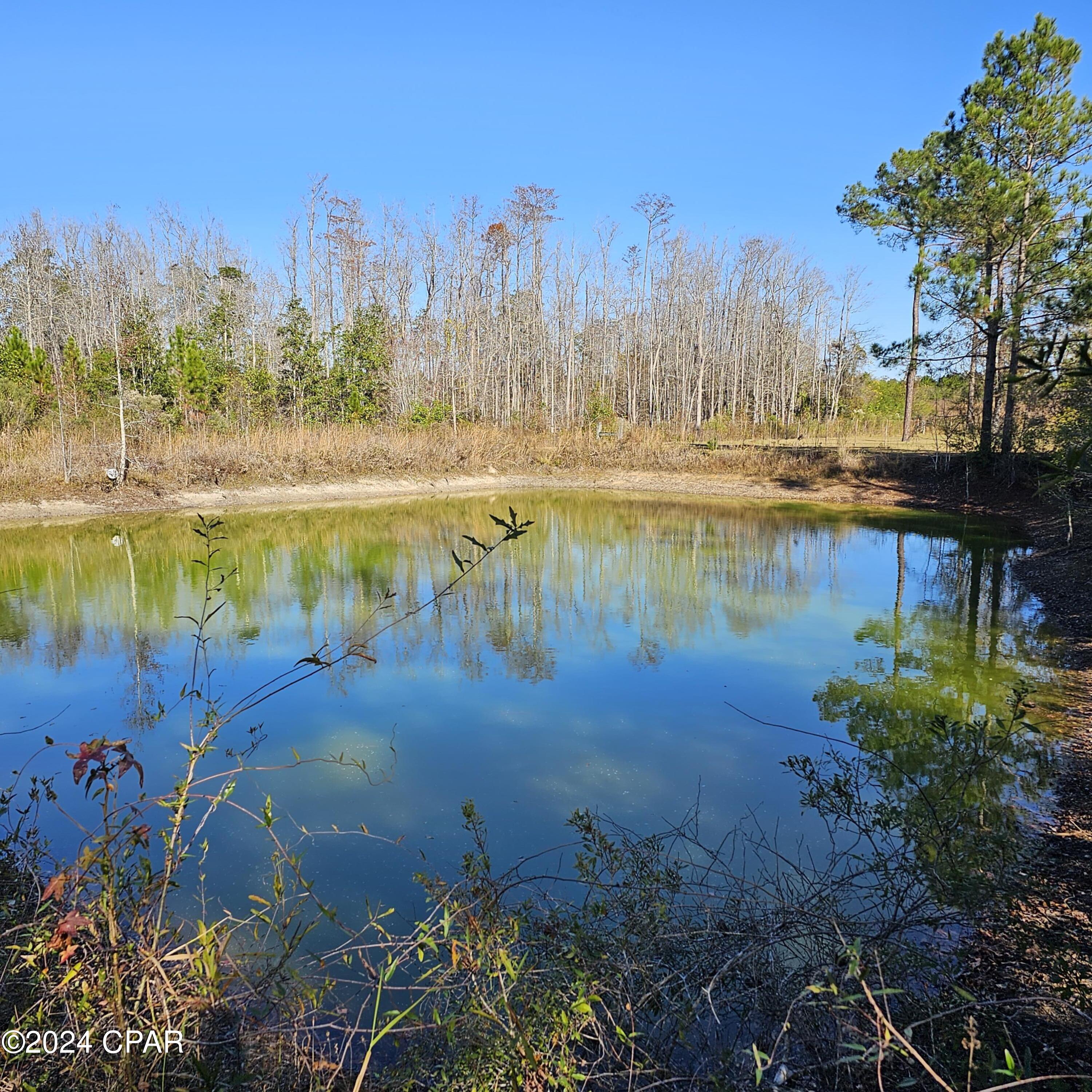 1078 Pine Ridge Road, Bonifay, Florida image 10