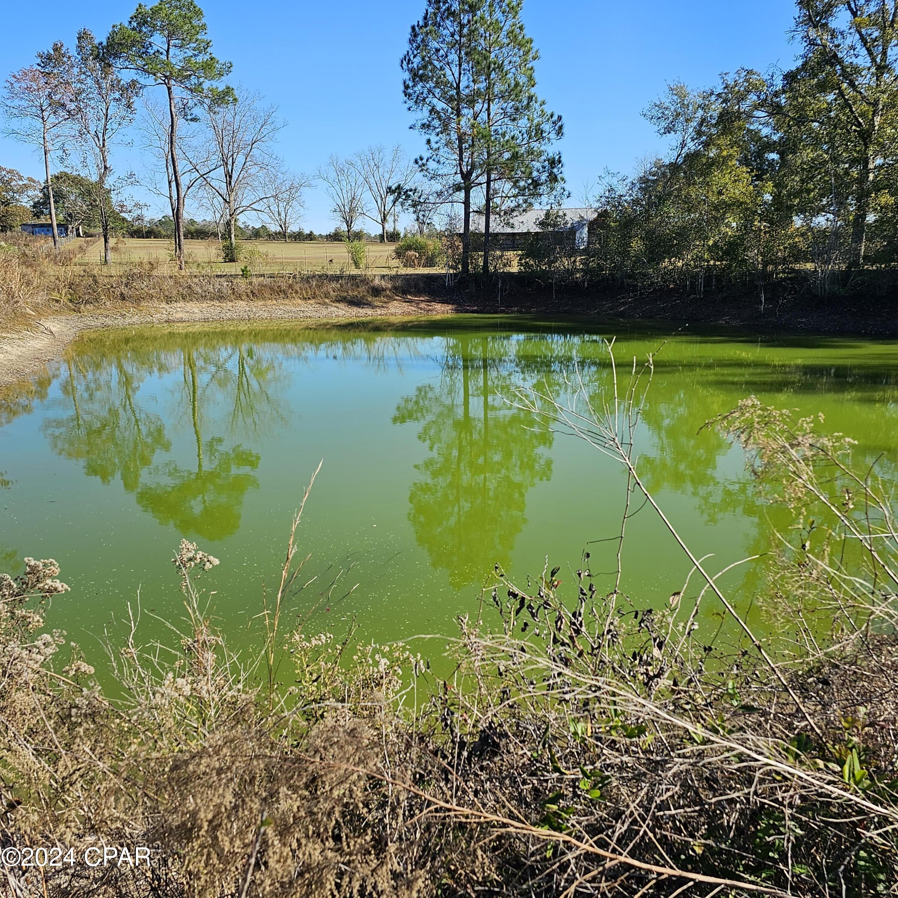 1078 Pine Ridge Road, Bonifay, Florida image 9