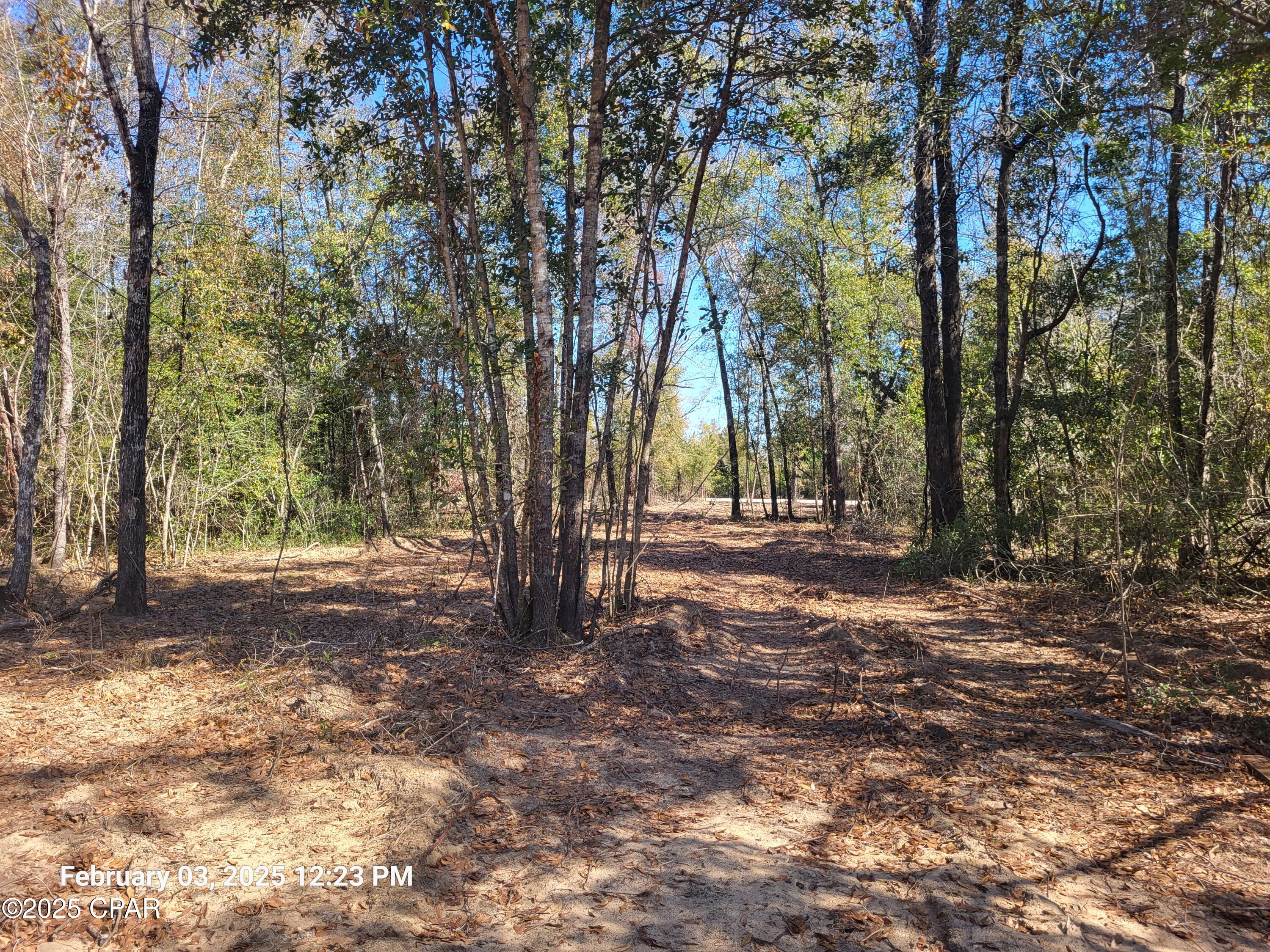 Details for 00 Tommy Tucker Road Lot 3, Altha, FL 32421