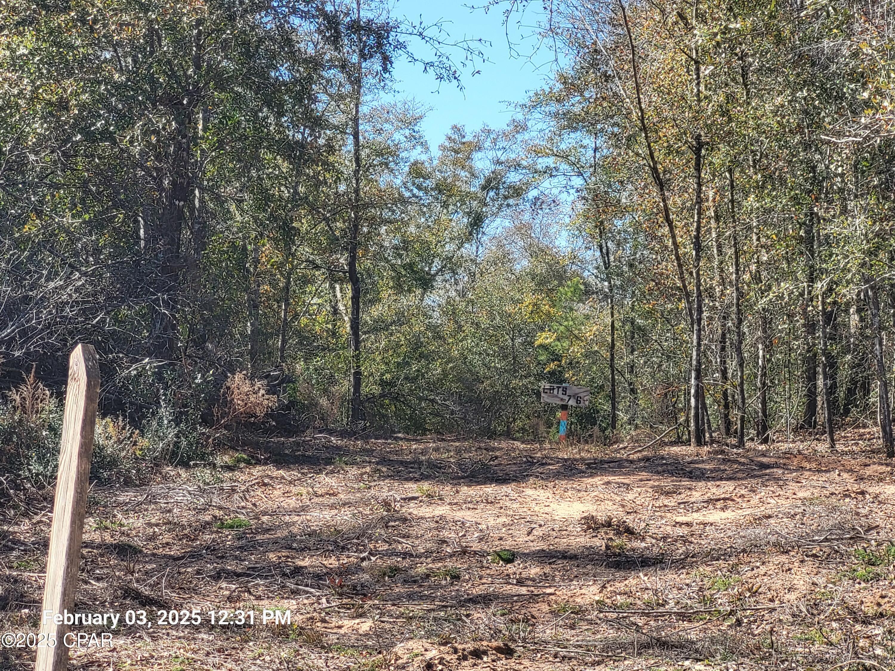 00 Womble Road #LOT 7, Altha, Florida image 11