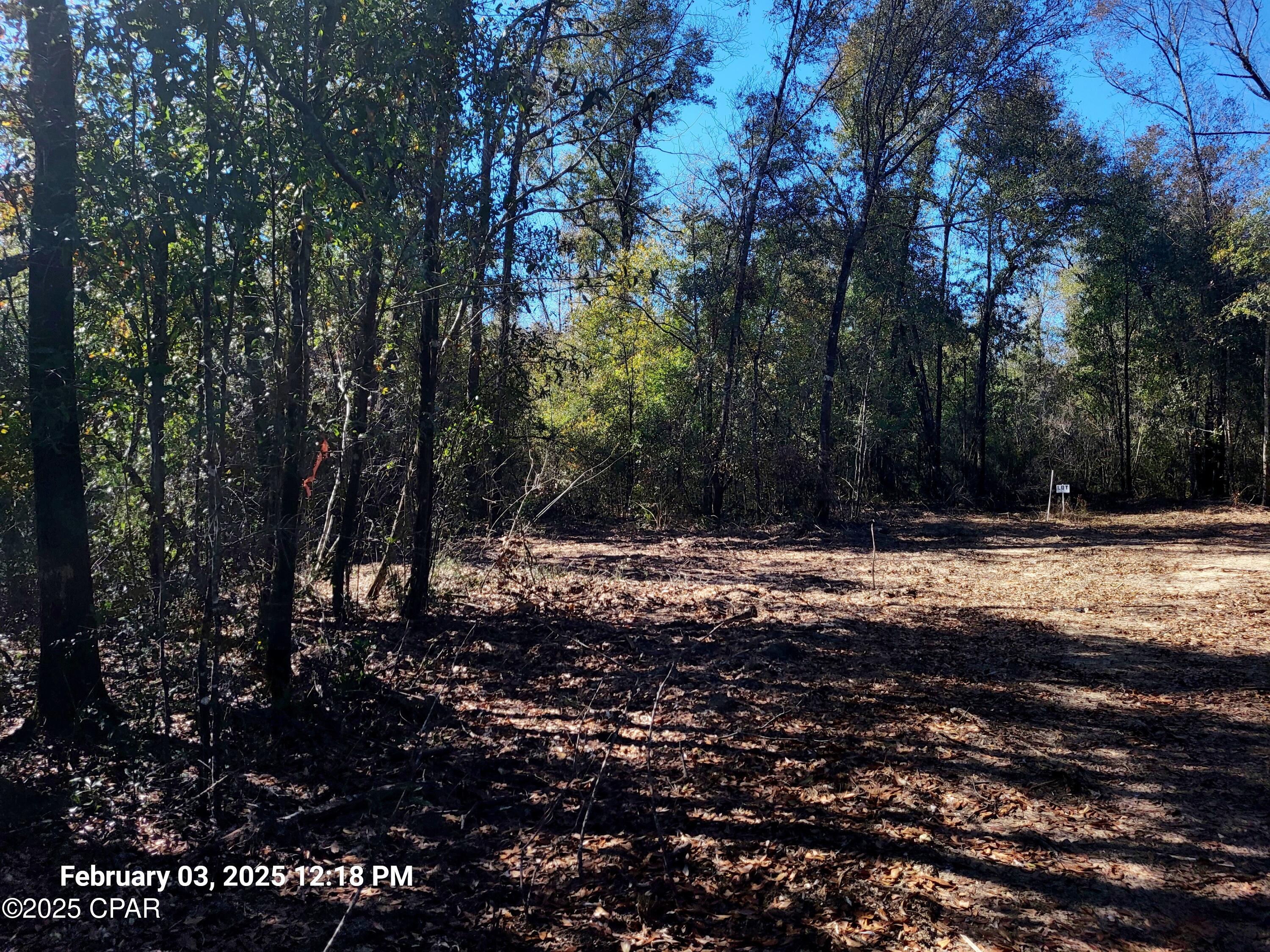 00 Womble Road #LOT 7, Altha, Florida image 14
