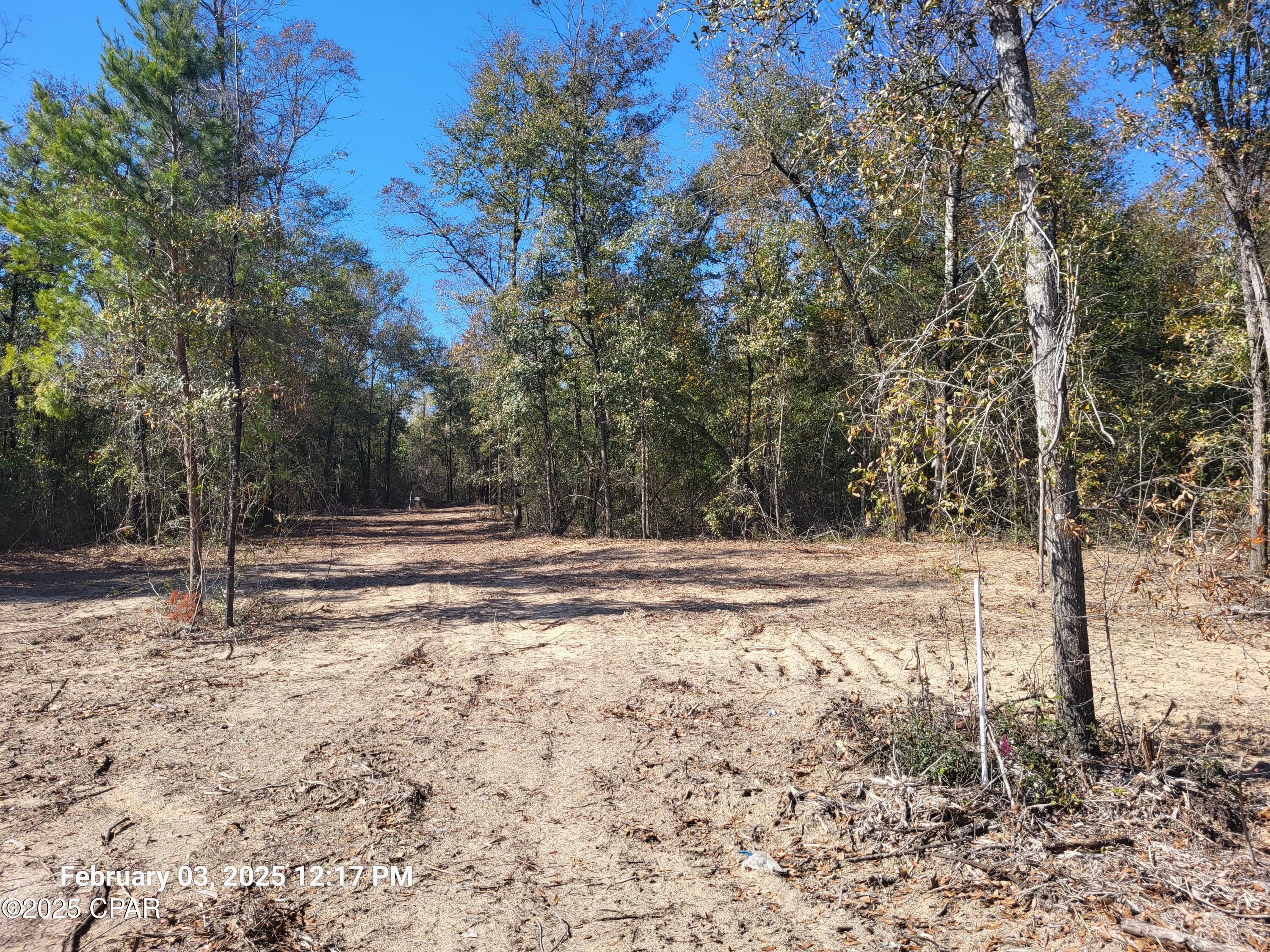 00 Womble Road #LOT 7, Altha, Florida image 15