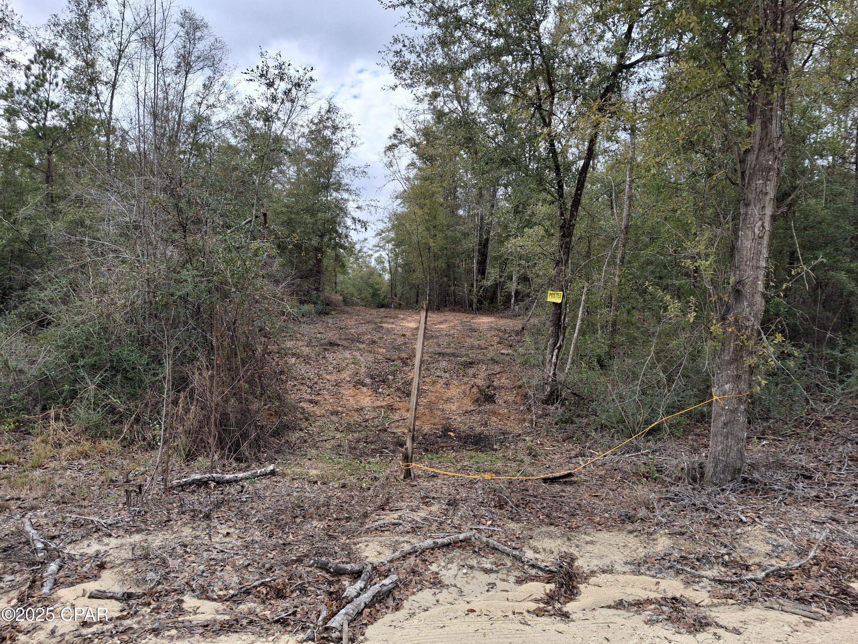 00 Womble Road #LOT 7, Altha, Florida image 16