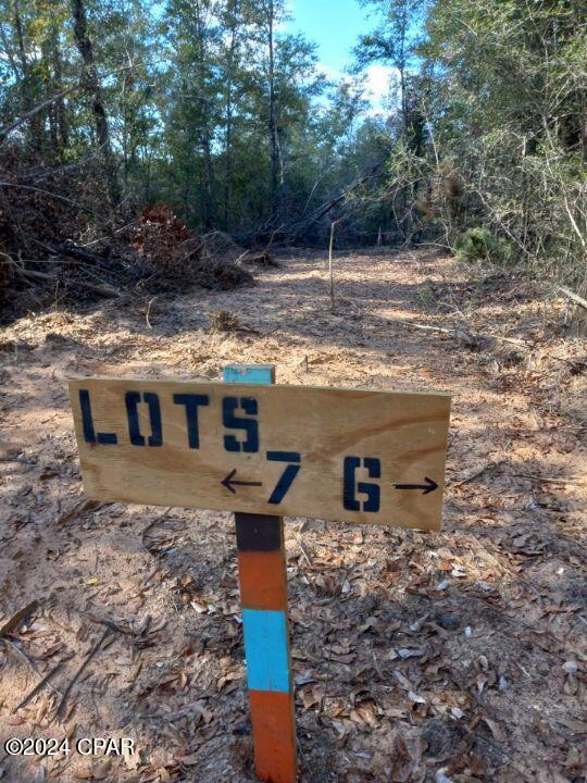 00 Womble Road #LOT 7, Altha, Florida image 17