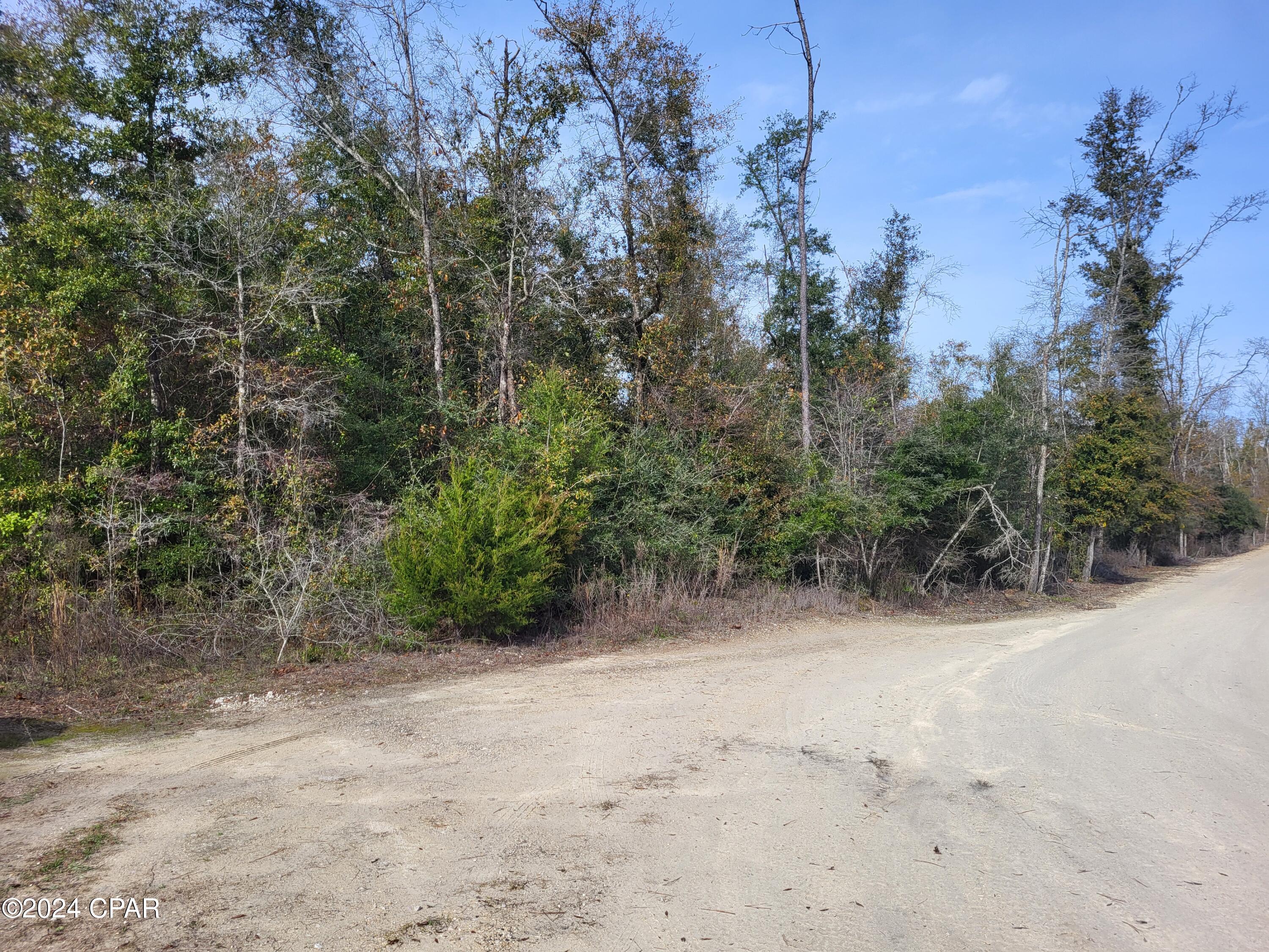 00 Womble Road #LOT 7, Altha, Florida image 18
