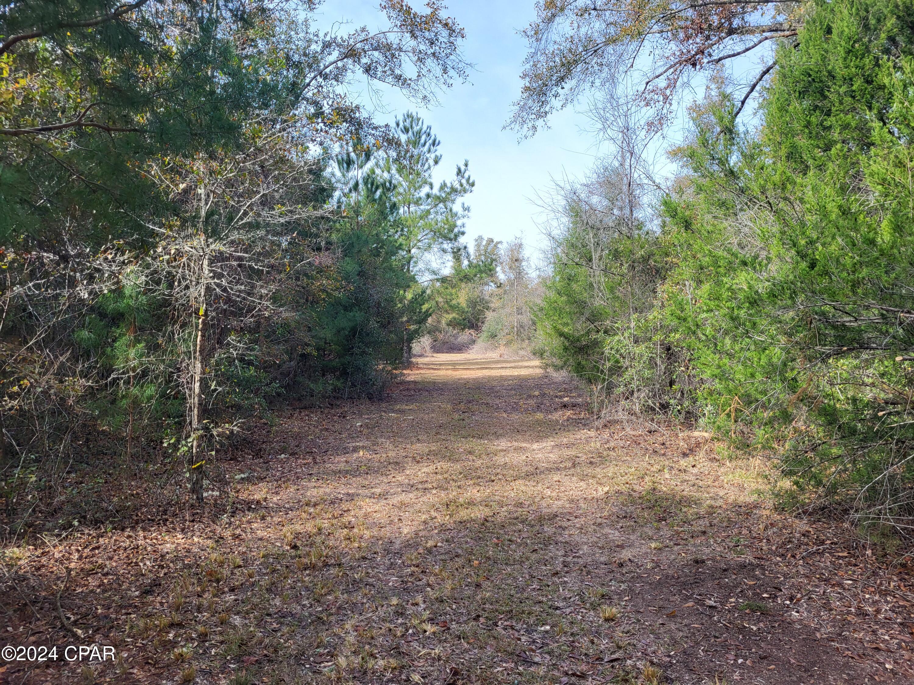 00 Womble Road #LOT 7, Altha, Florida image 19