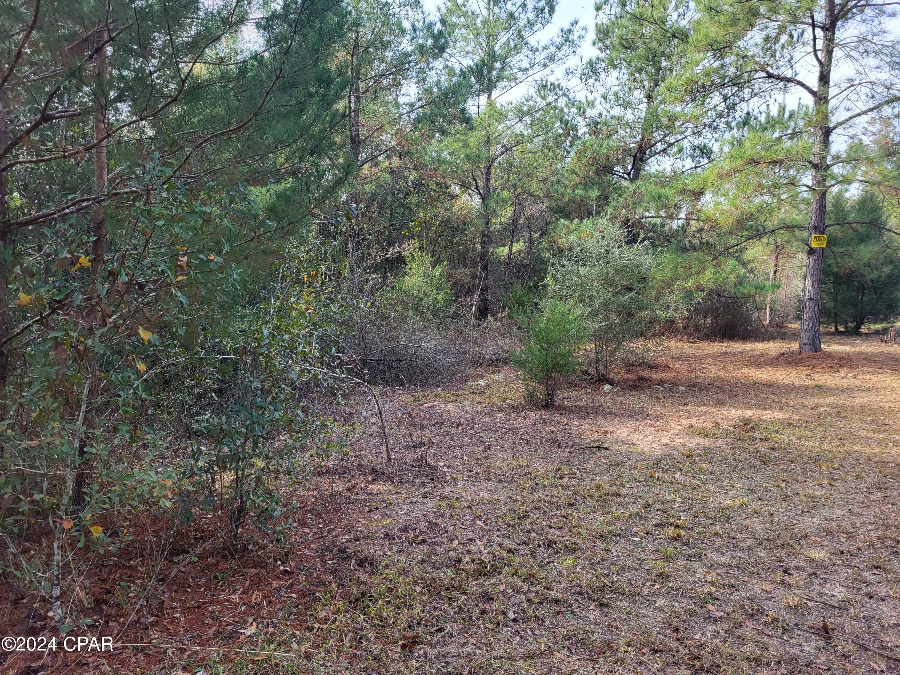 00 Womble Road #LOT 7, Altha, Florida image 20