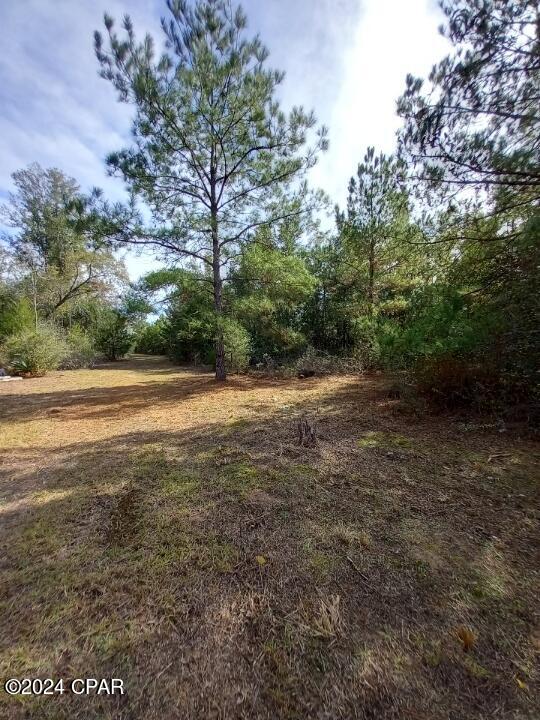 00 Womble Road #LOT 7, Altha, Florida image 21