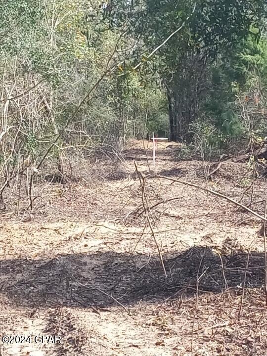 00 Womble Road #LOT 7, Altha, Florida image 25