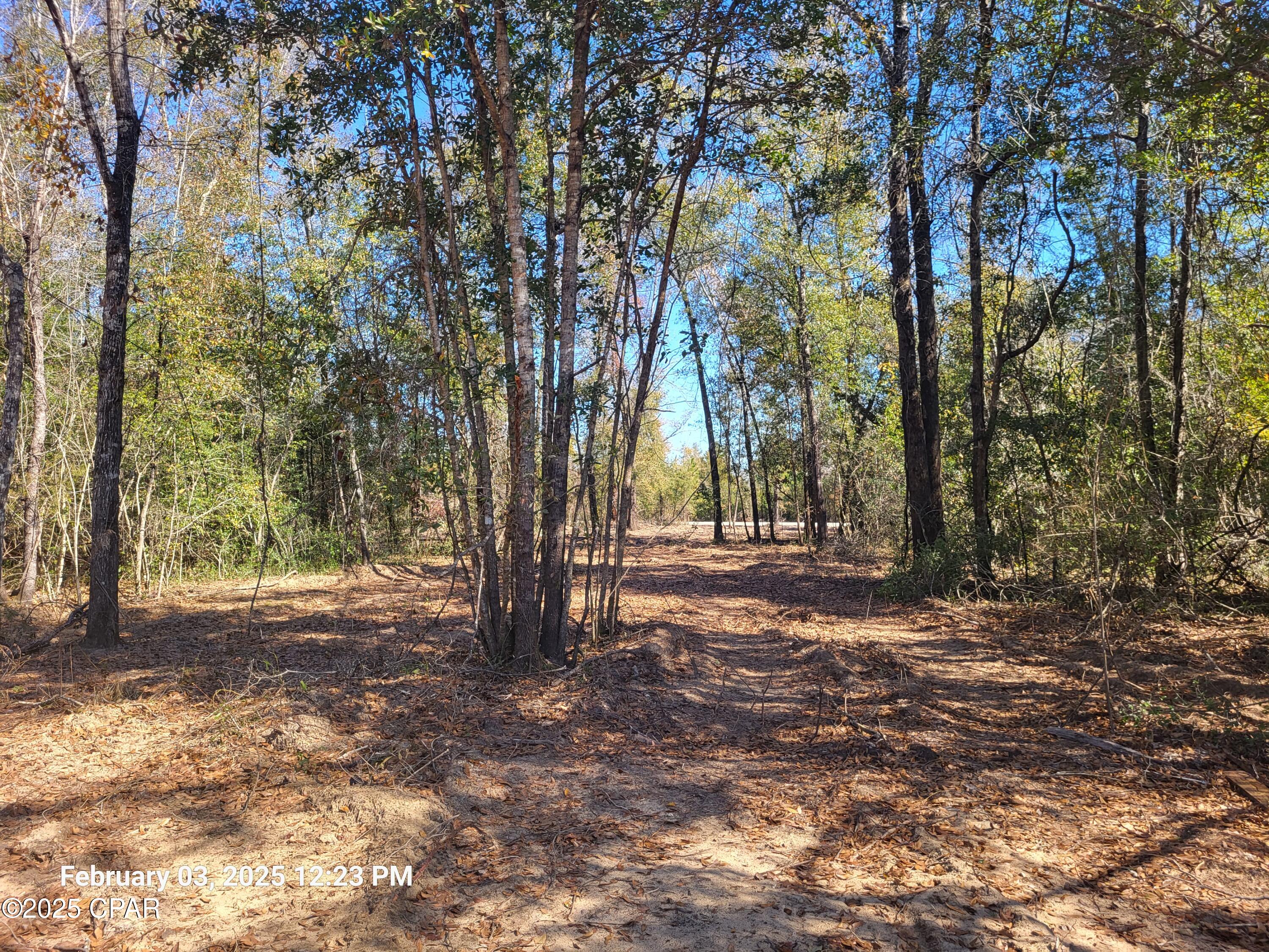 00 Womble Road #LOT 7, Altha, Florida image 3