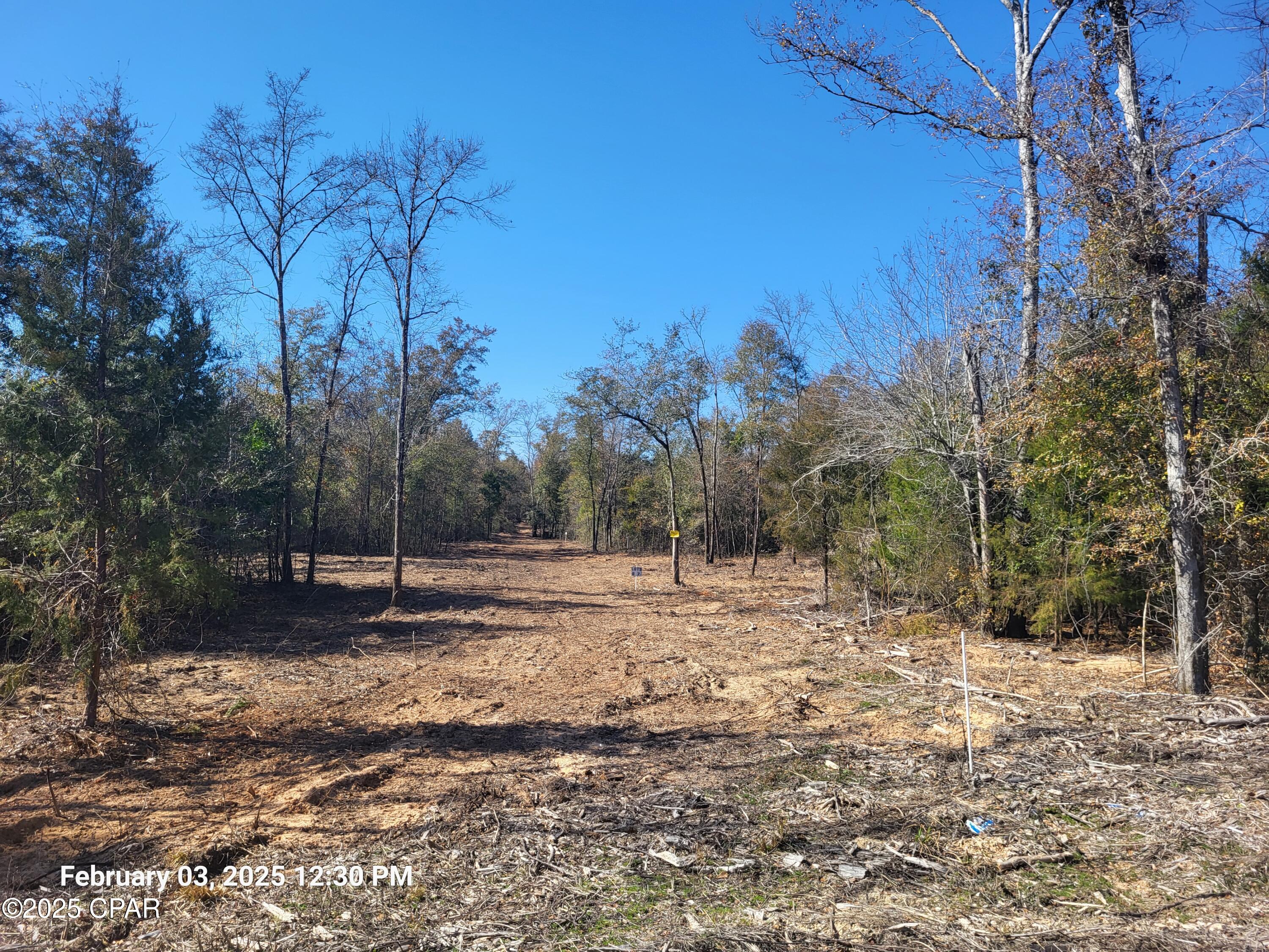 00 Womble Road #LOT 7, Altha, Florida image 5