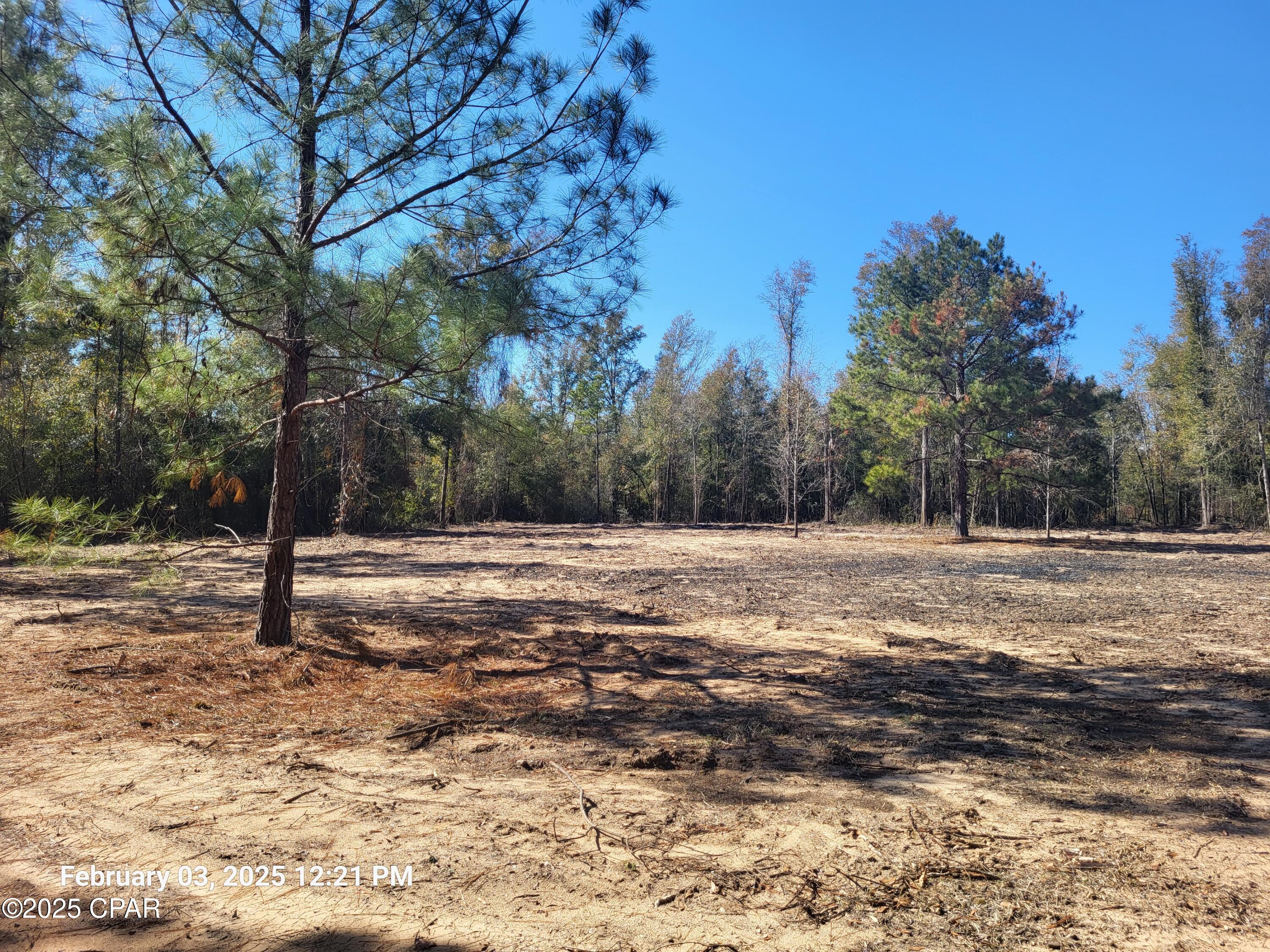 Image 6 For 00 Womble Road Lot 7