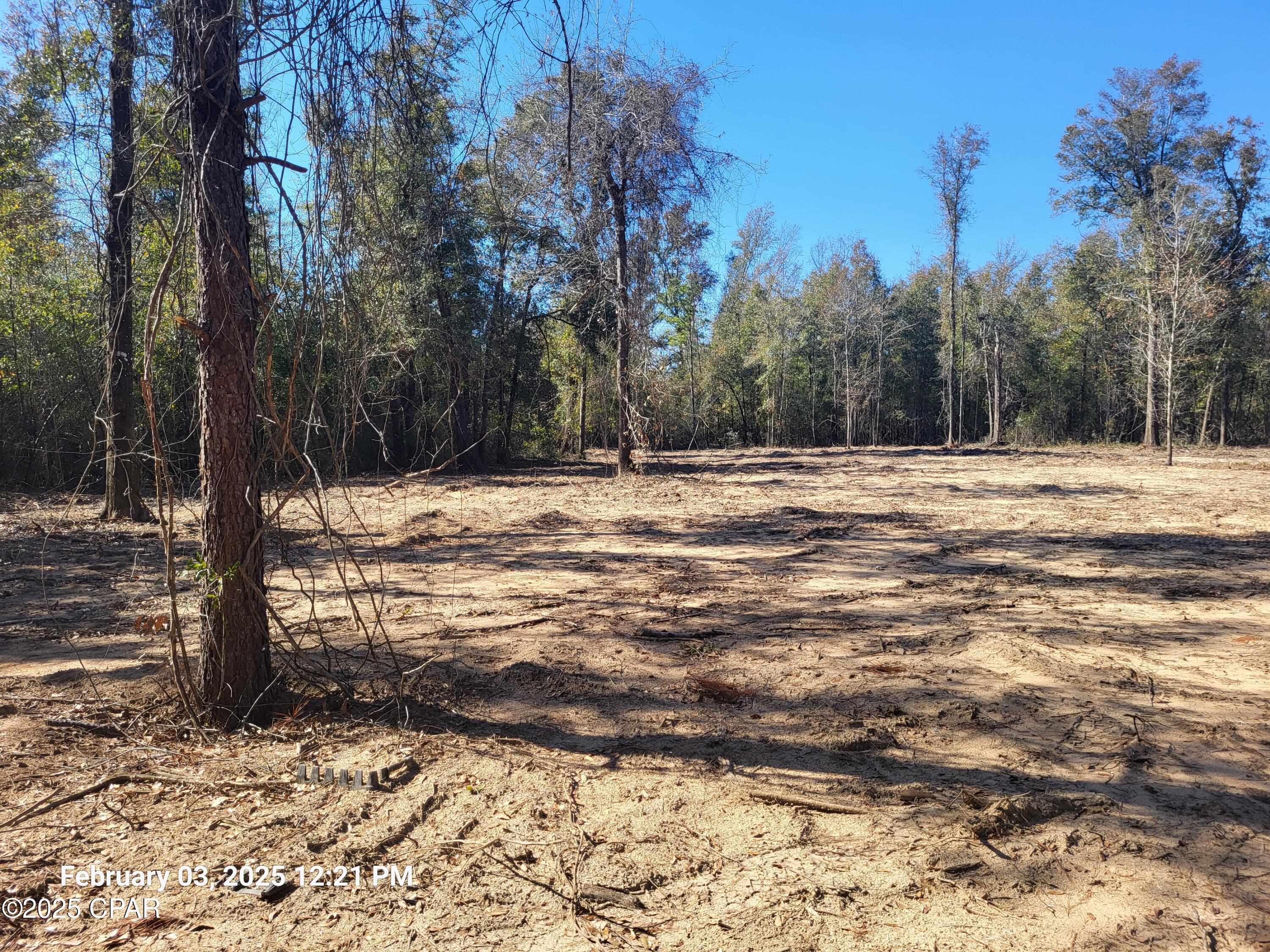 00 Womble Road #LOT 7, Altha, Florida image 9