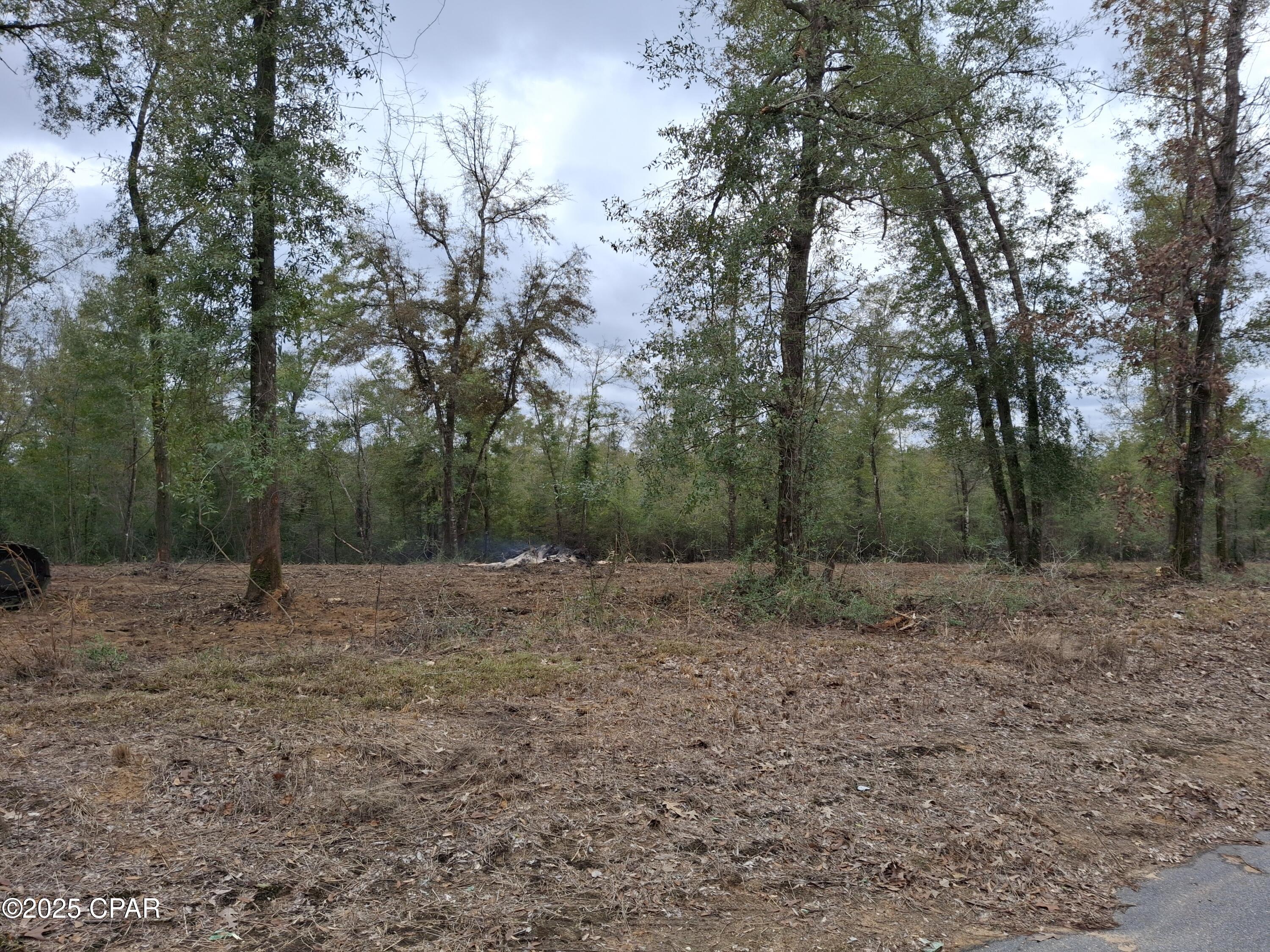 Details for 00 Womble Road Lot 8, Altha, FL 32421