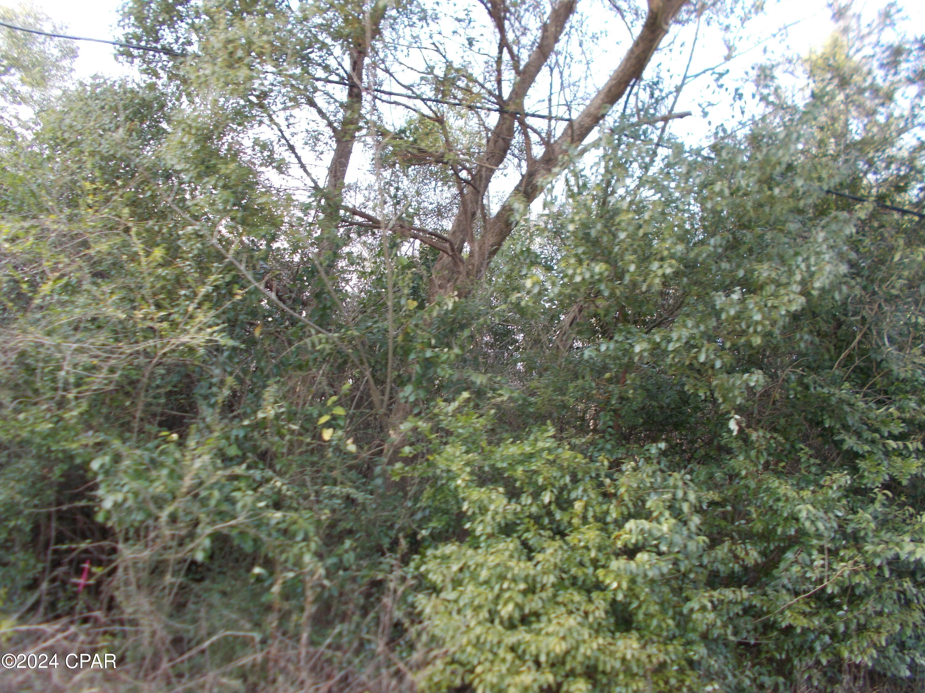 Image 2 For 00 River Road