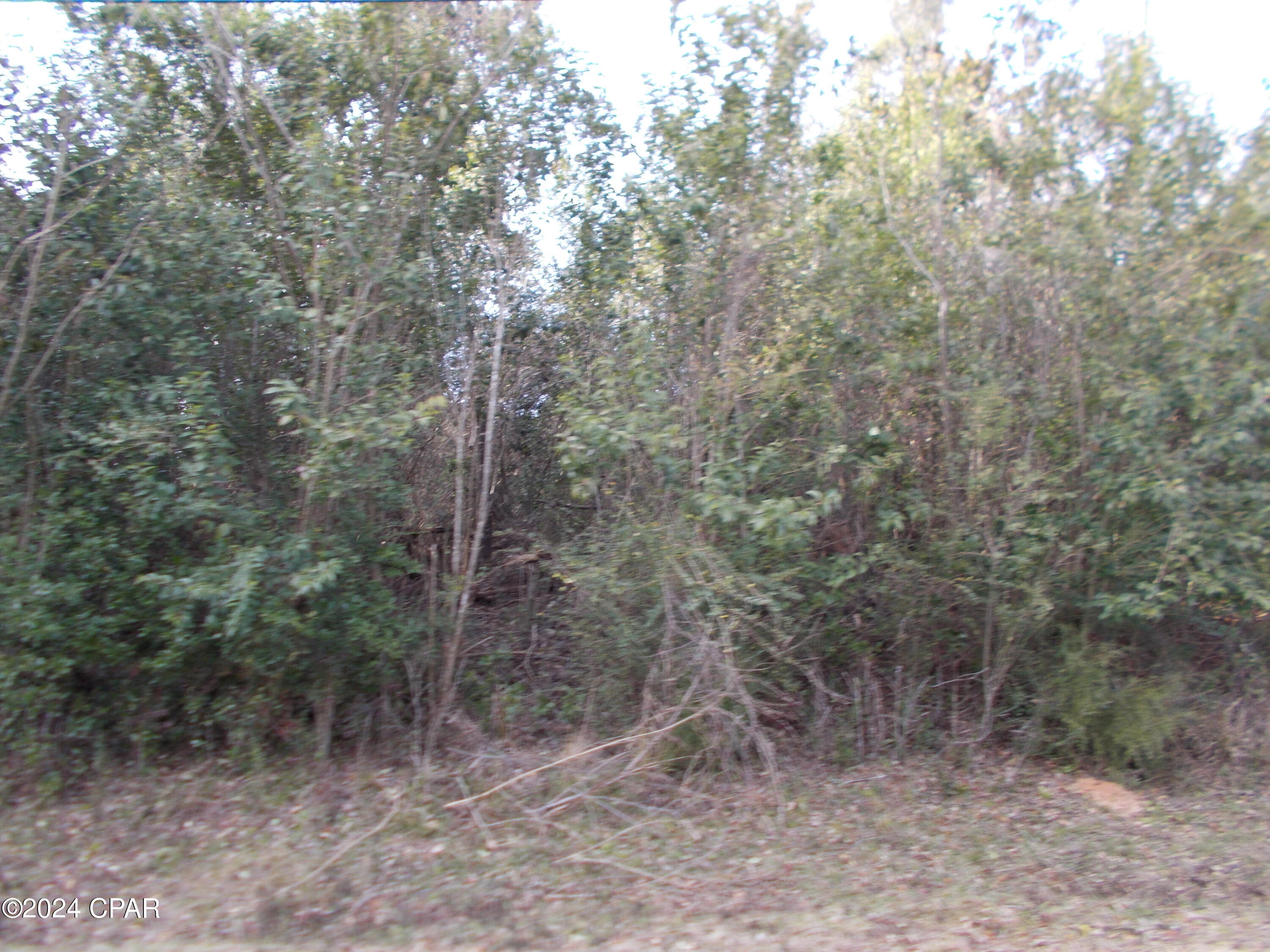 Image 3 For 00 River Road