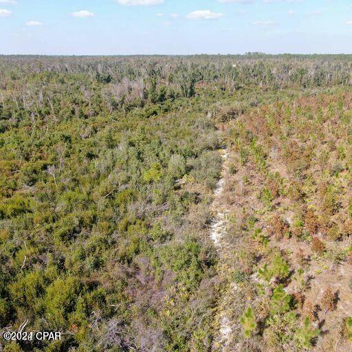 Image 8 For 21526 Isoletta Lane