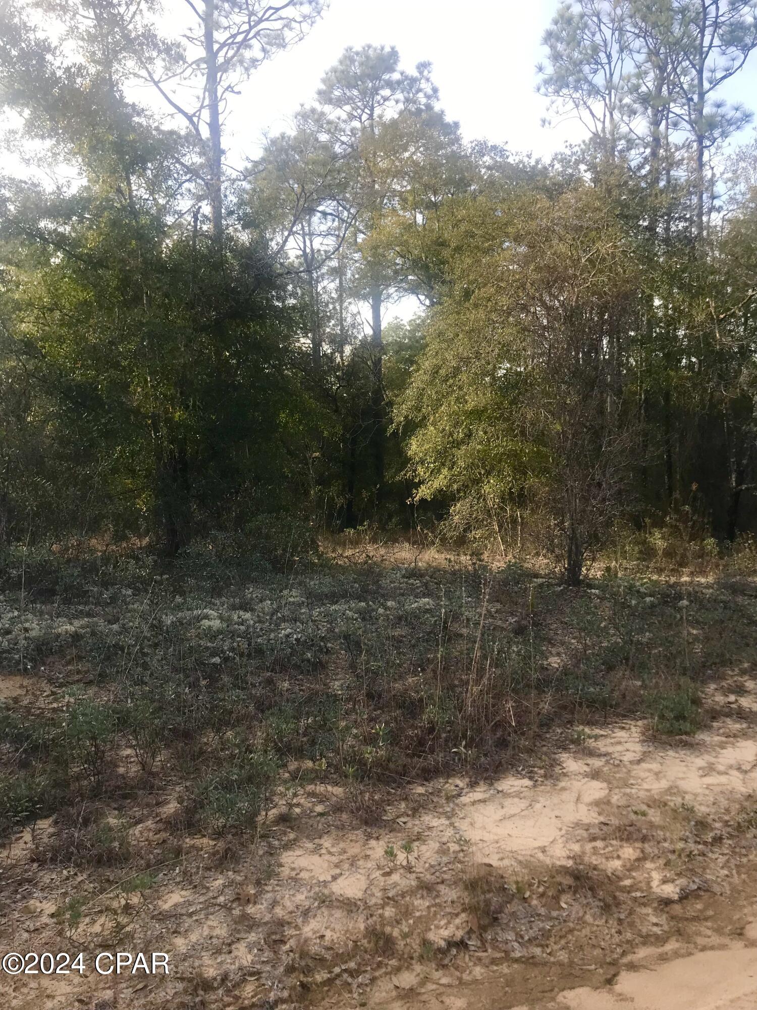 Listing photo id 1 for 0 Dunford Circle Lot 13