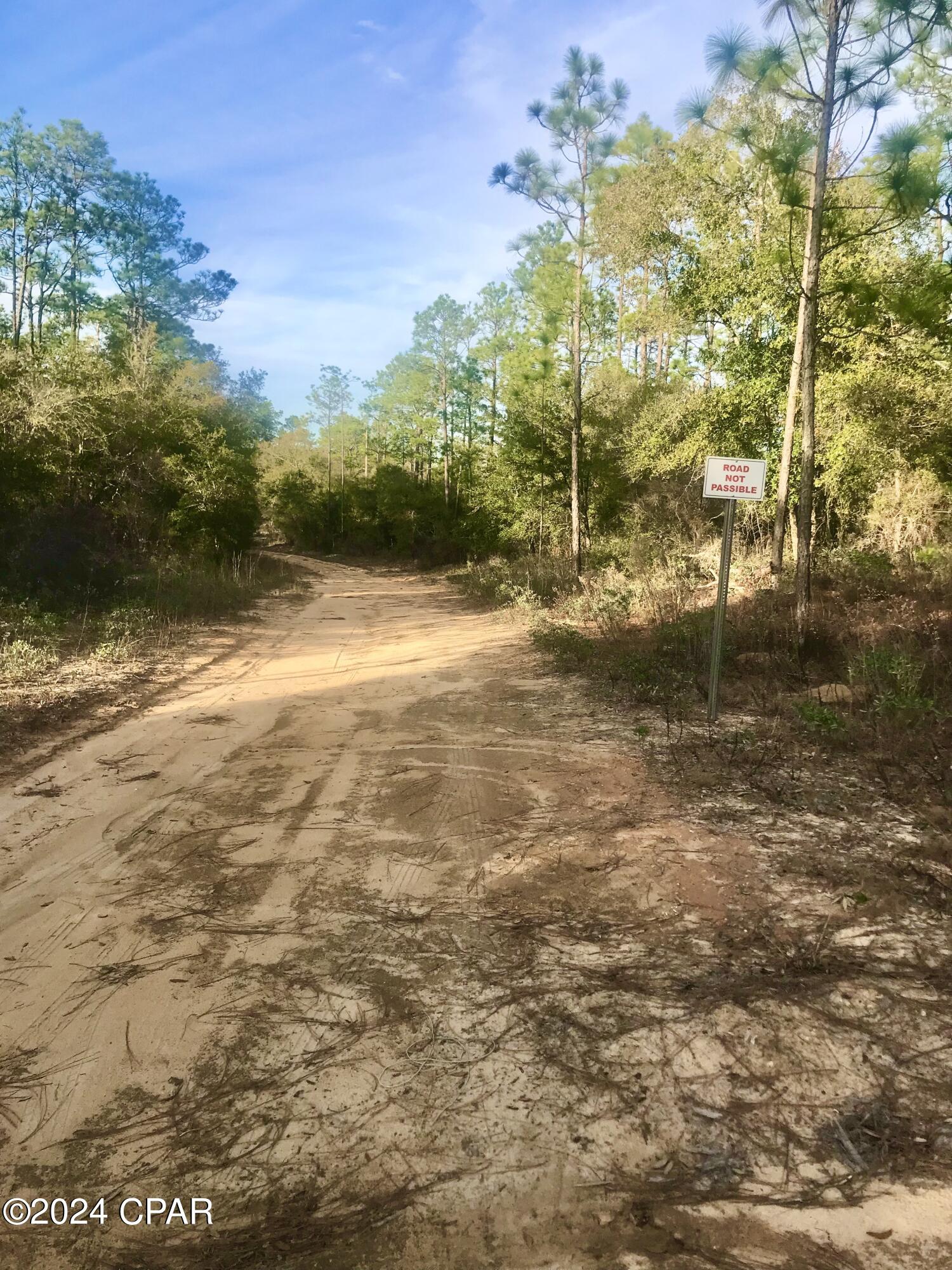 Listing photo id 3 for 0 Dunford Circle Lot 13