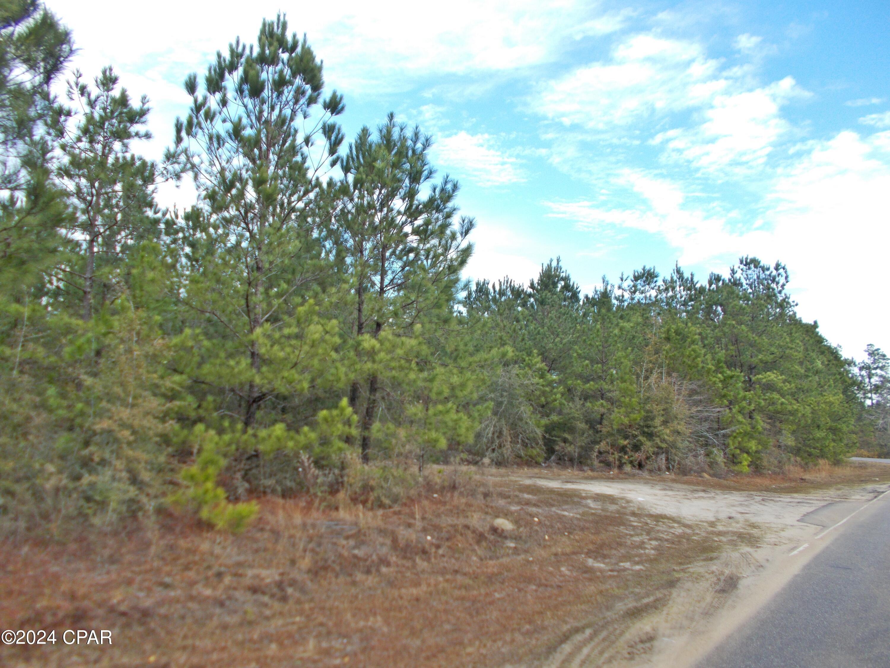Details for 2429 Bridgecreek Road, Marianna, FL 32446