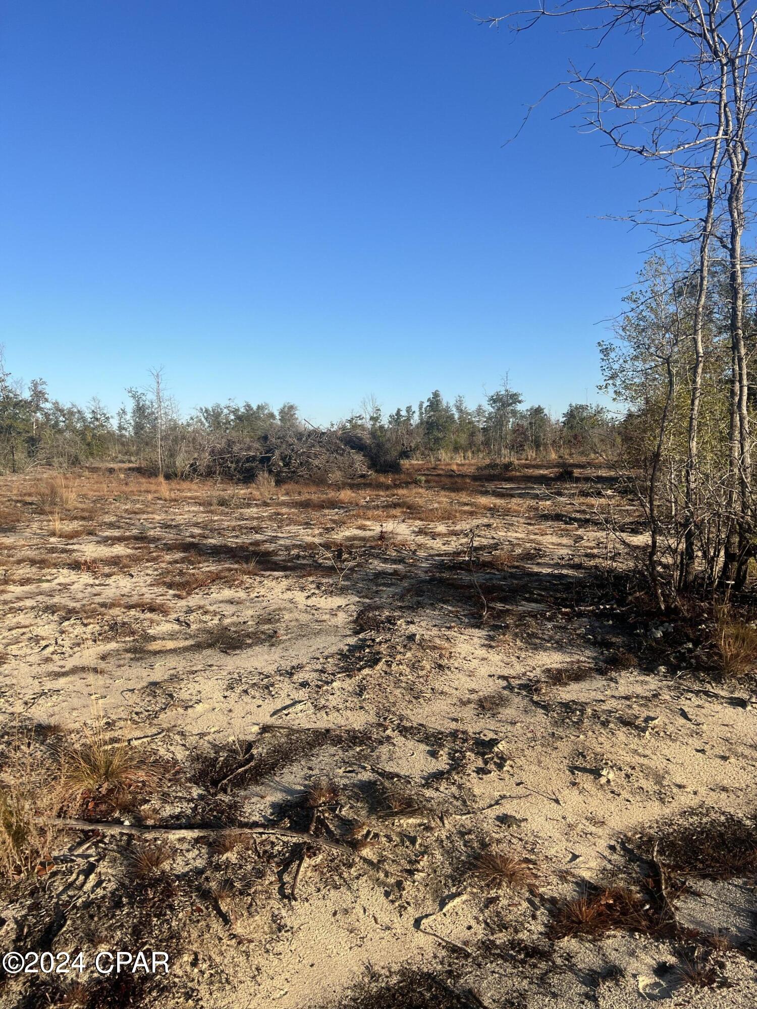 Photo of LOT 9 BLUE SPRINGS Youngstown FL 32466