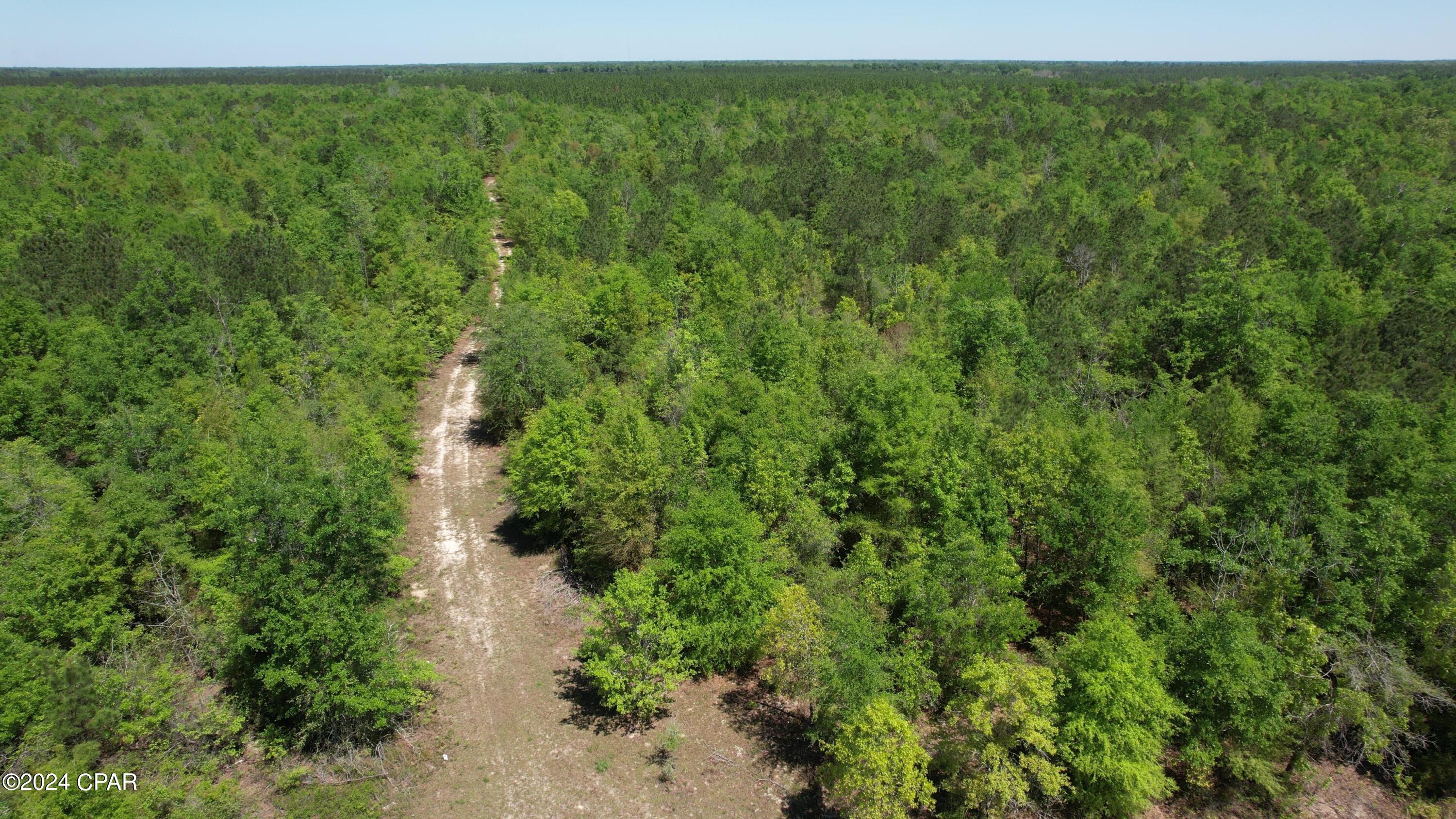 Details for 0 Quail Roost Drive, Alford, FL 32420