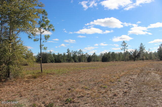 Image 7 For 5015 County Road 274